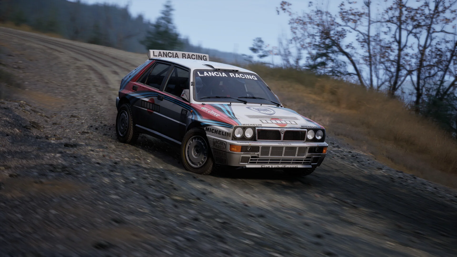 Assetto Corsa Rally screenshot 43