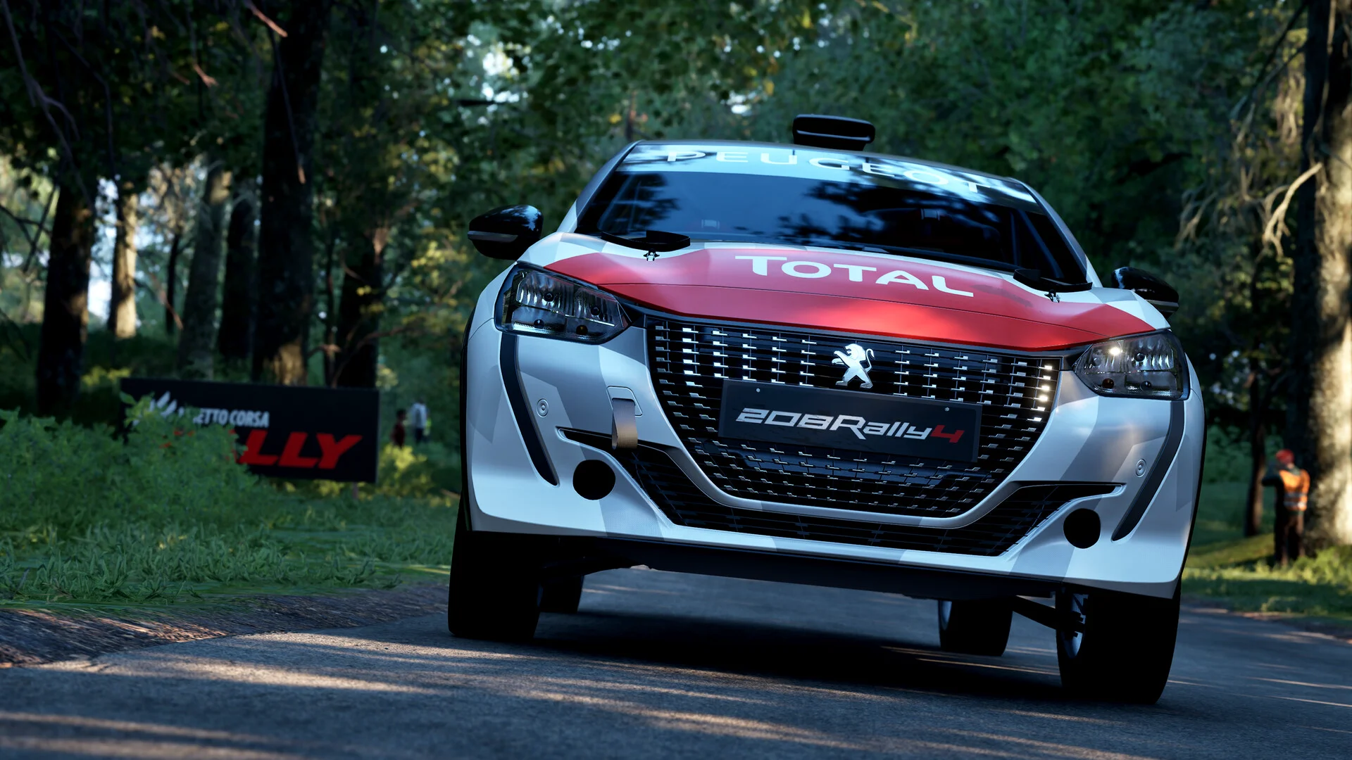 Assetto Corsa Rally screenshot 48