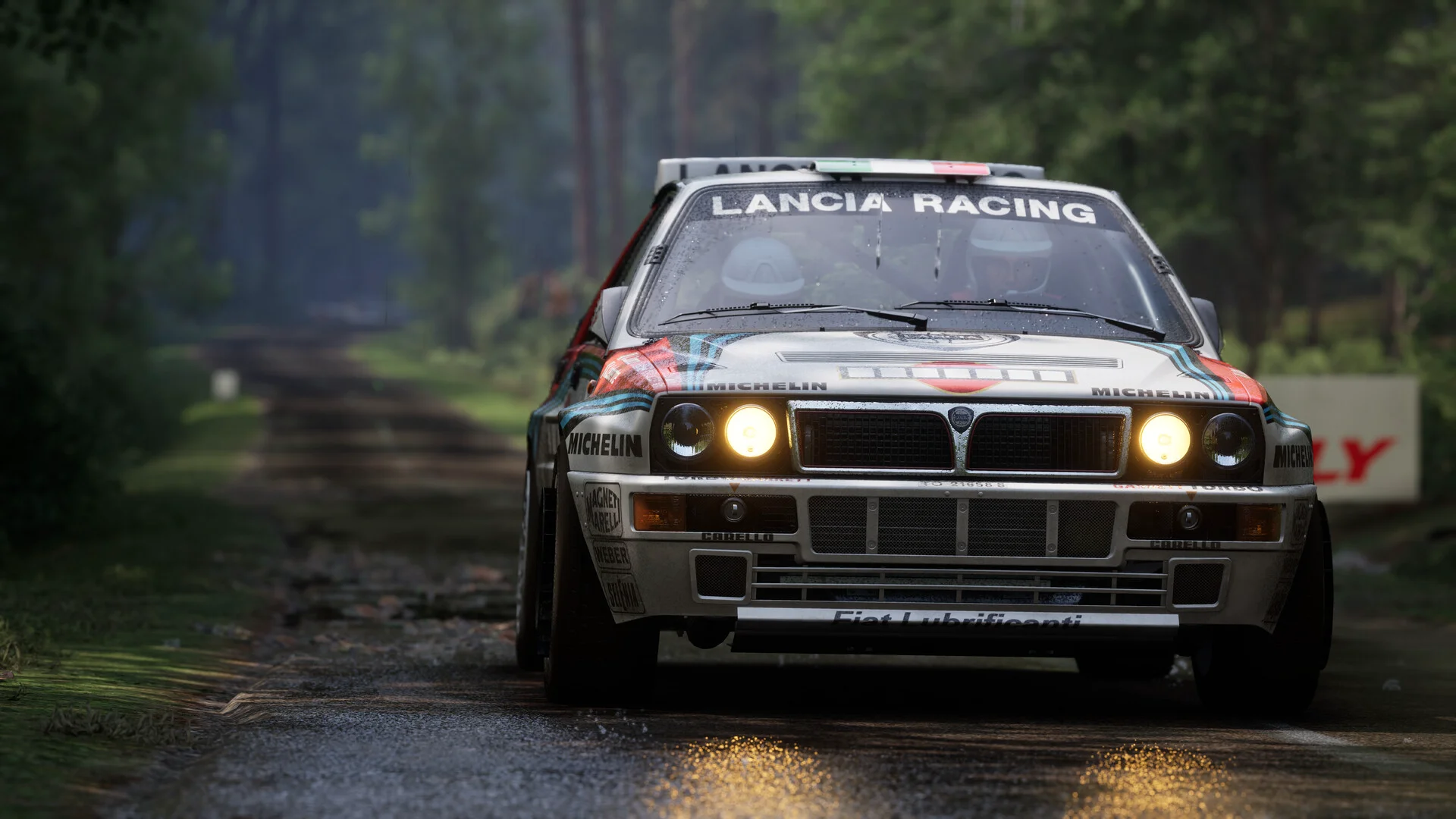 Assetto Corsa Rally screenshot 5