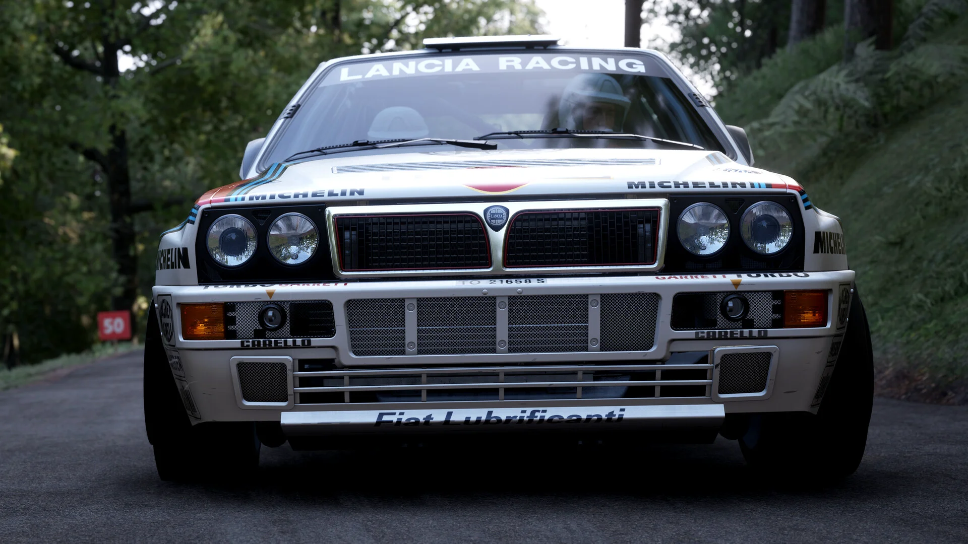 Assetto Corsa Rally screenshot 50