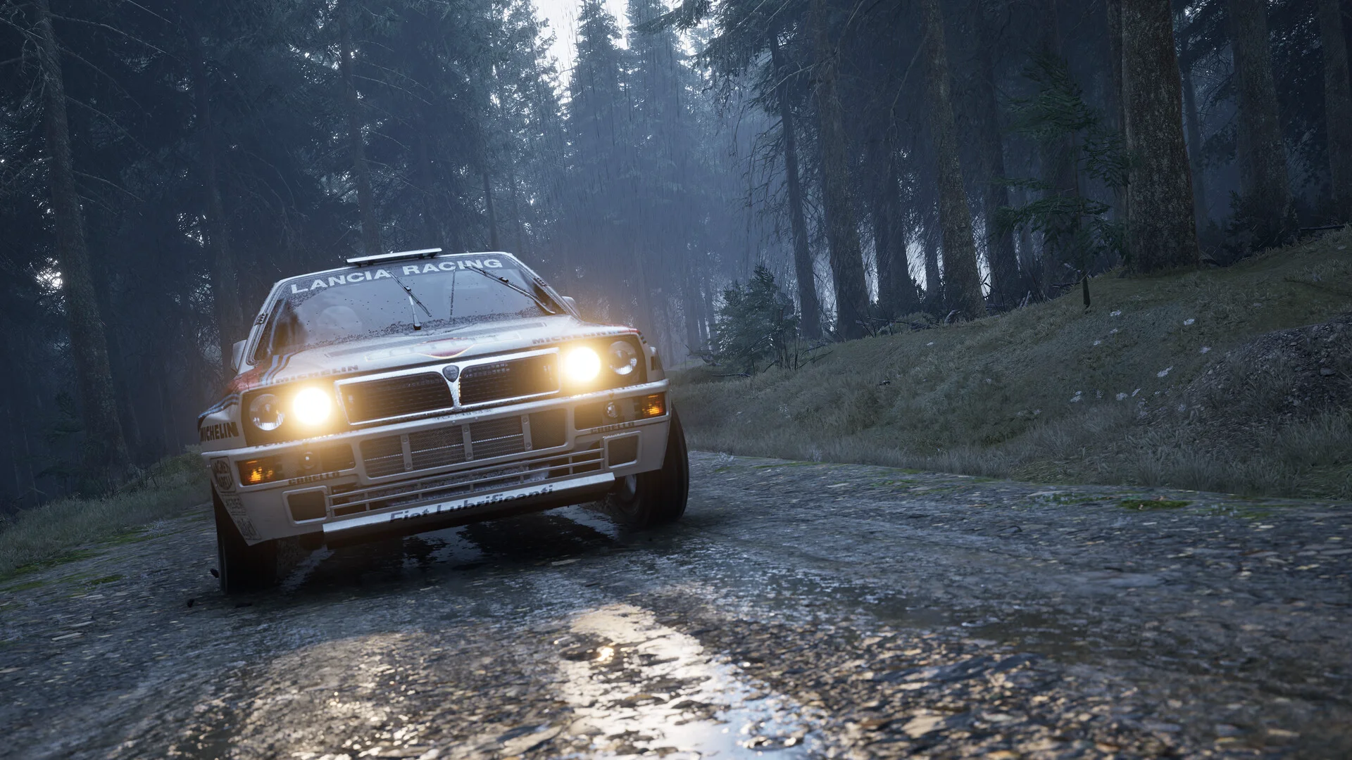 Assetto Corsa Rally screenshot 60