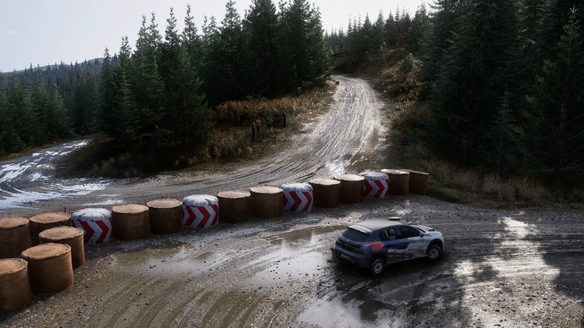 Assetto Corsa Rally screenshot 64