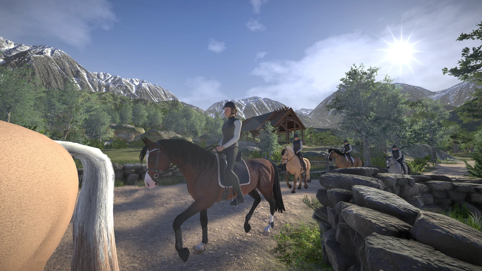 Astride screenshot 17