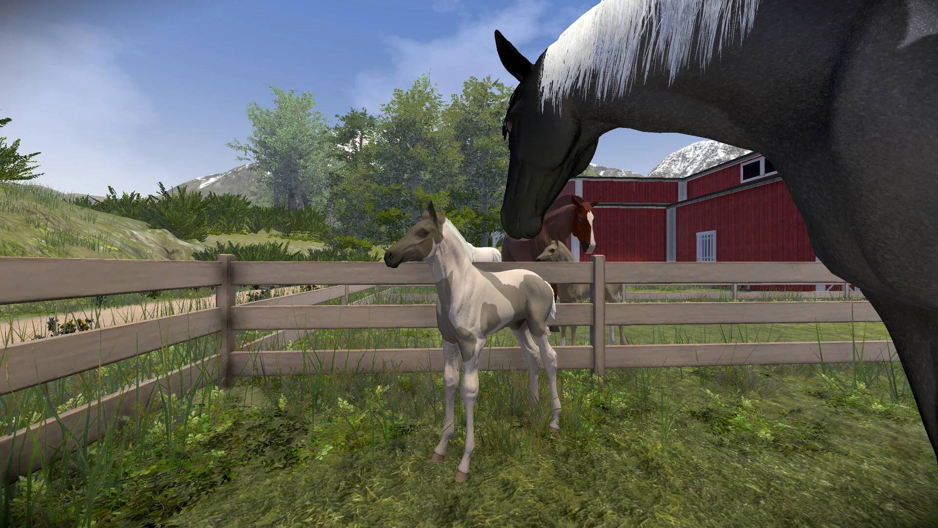 Astride screenshot 2