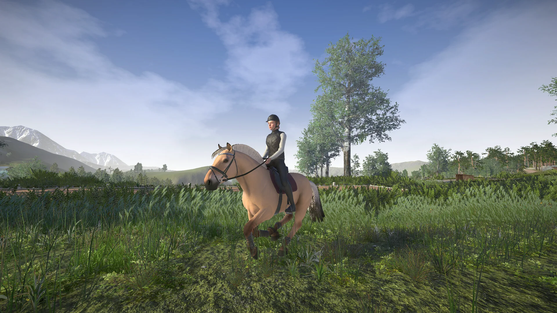 Astride screenshot 25