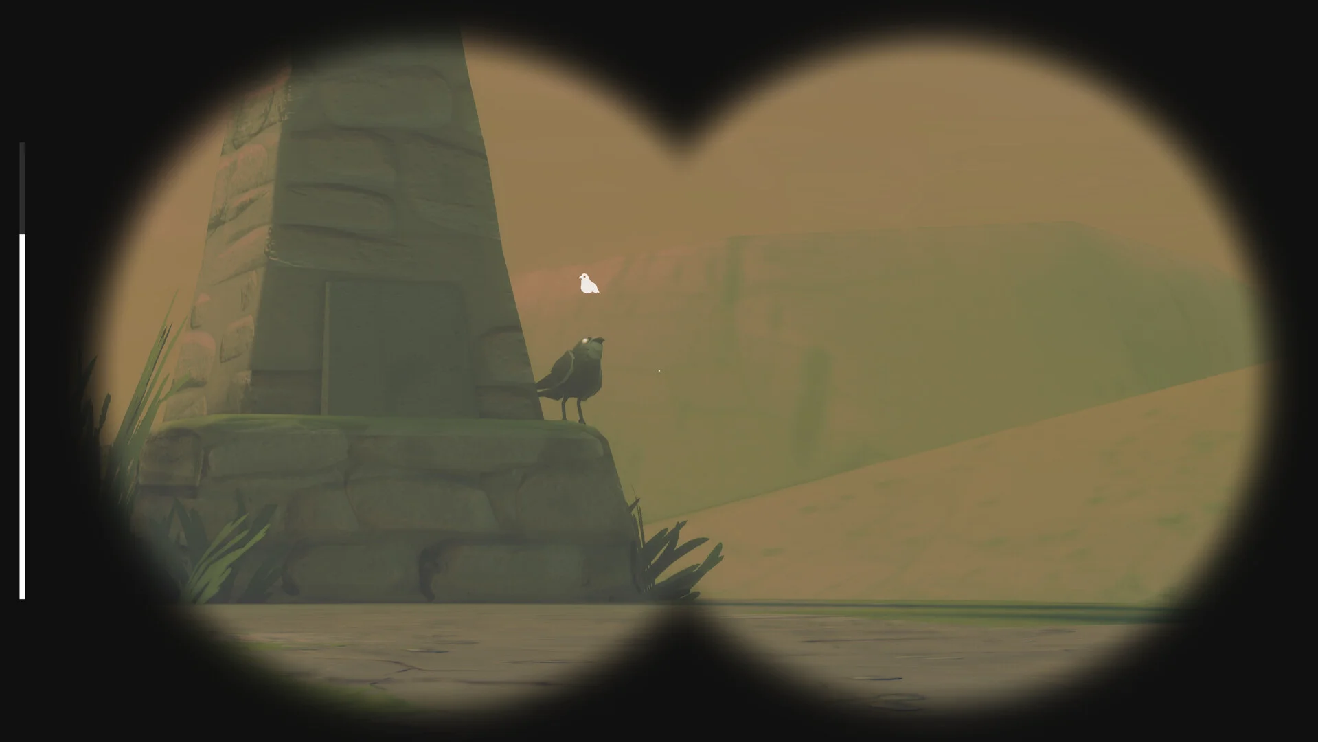 Birds Watching screenshot 12