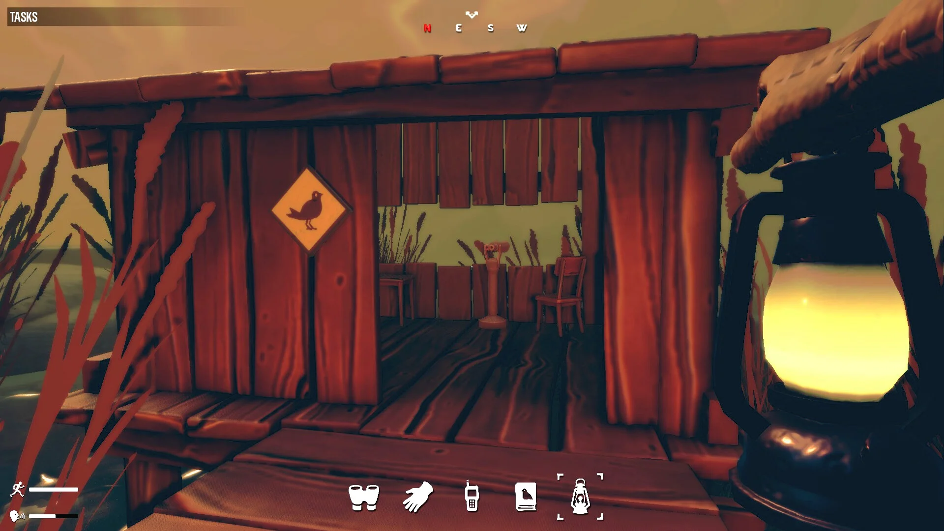 Birds Watching screenshot 13