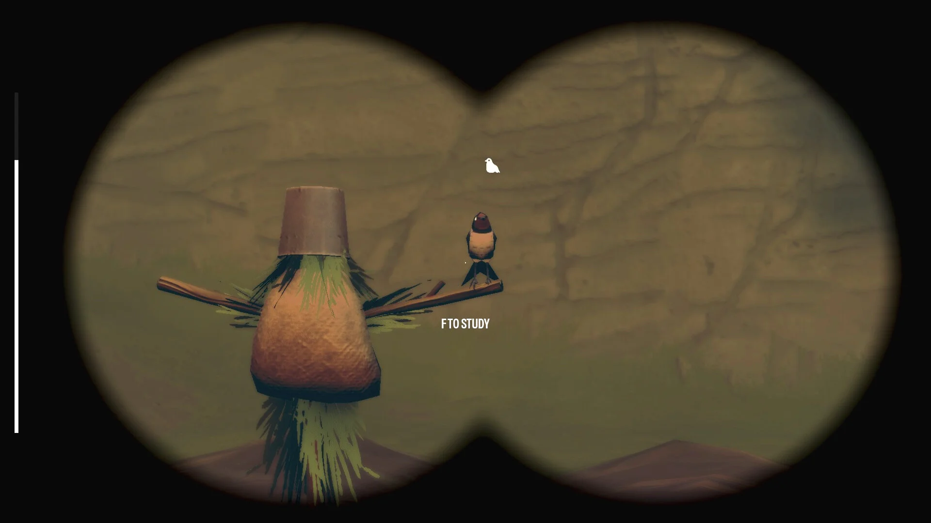 Birds Watching screenshot 14