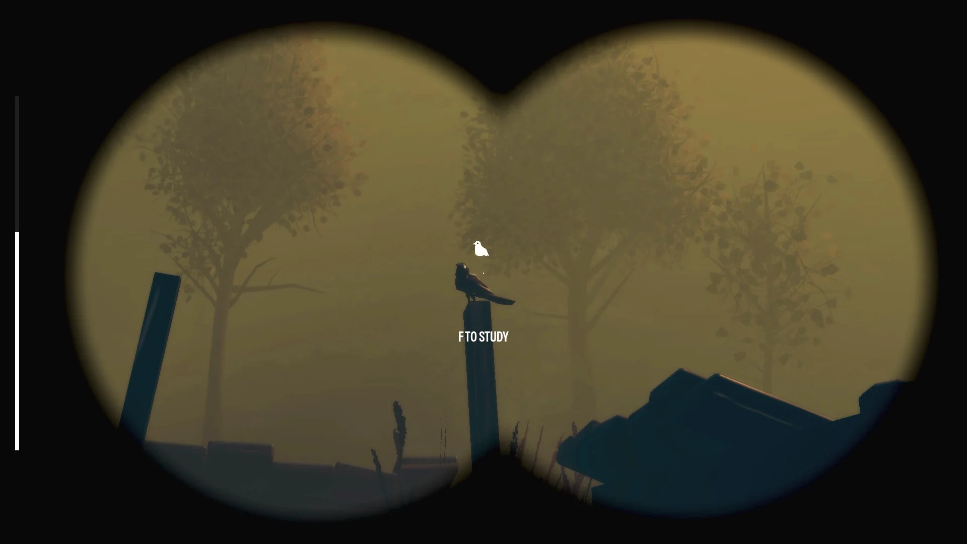 Birds Watching screenshot 2