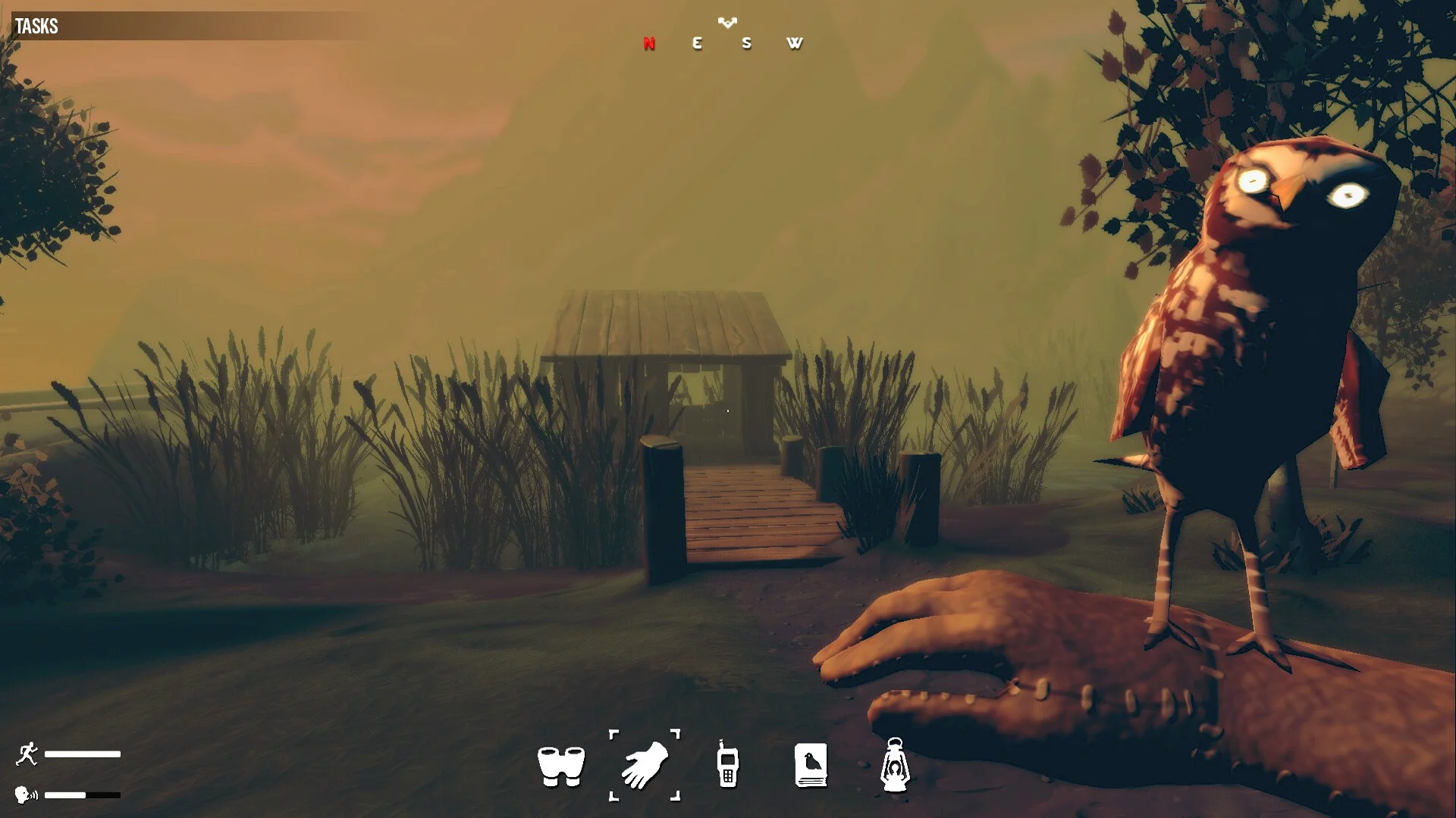 Birds Watching screenshot 4