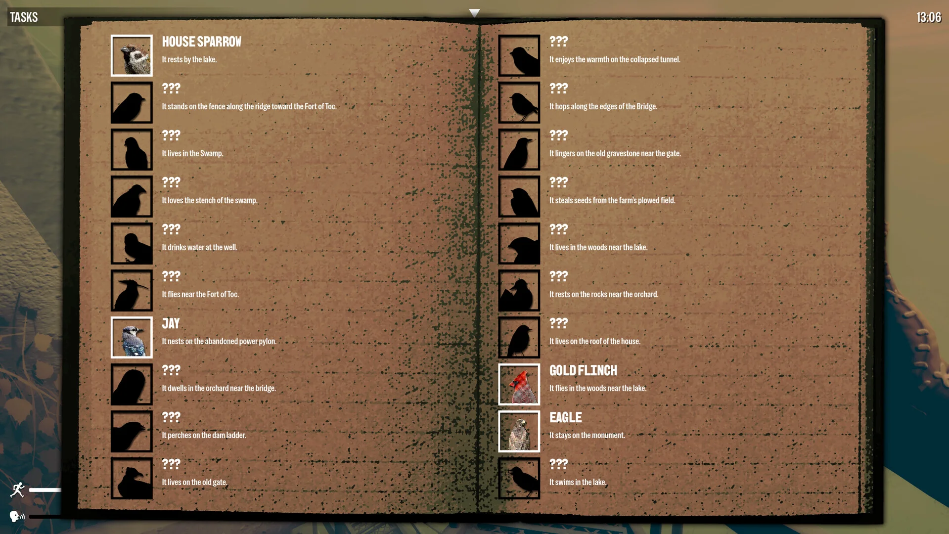 Birds Watching screenshot 5