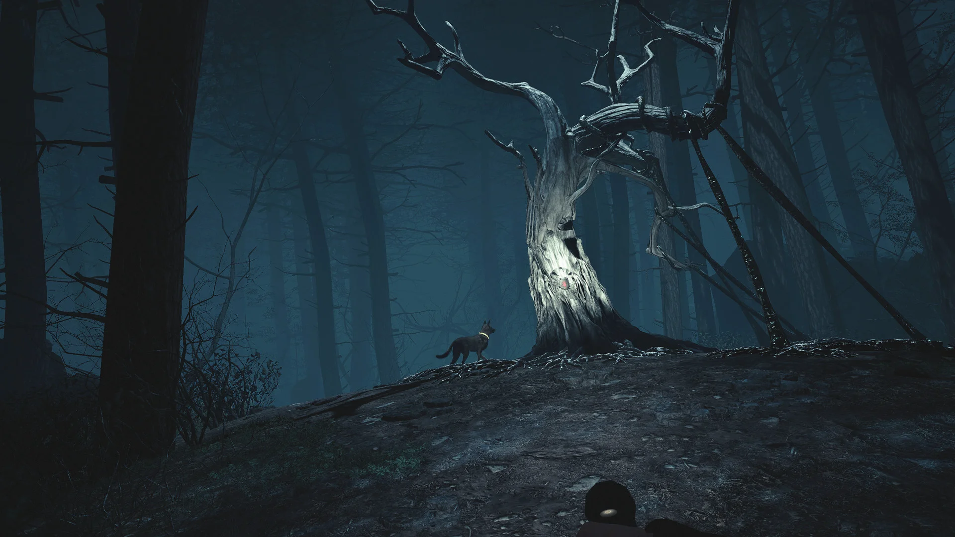 Blair Witch VR screenshot 4