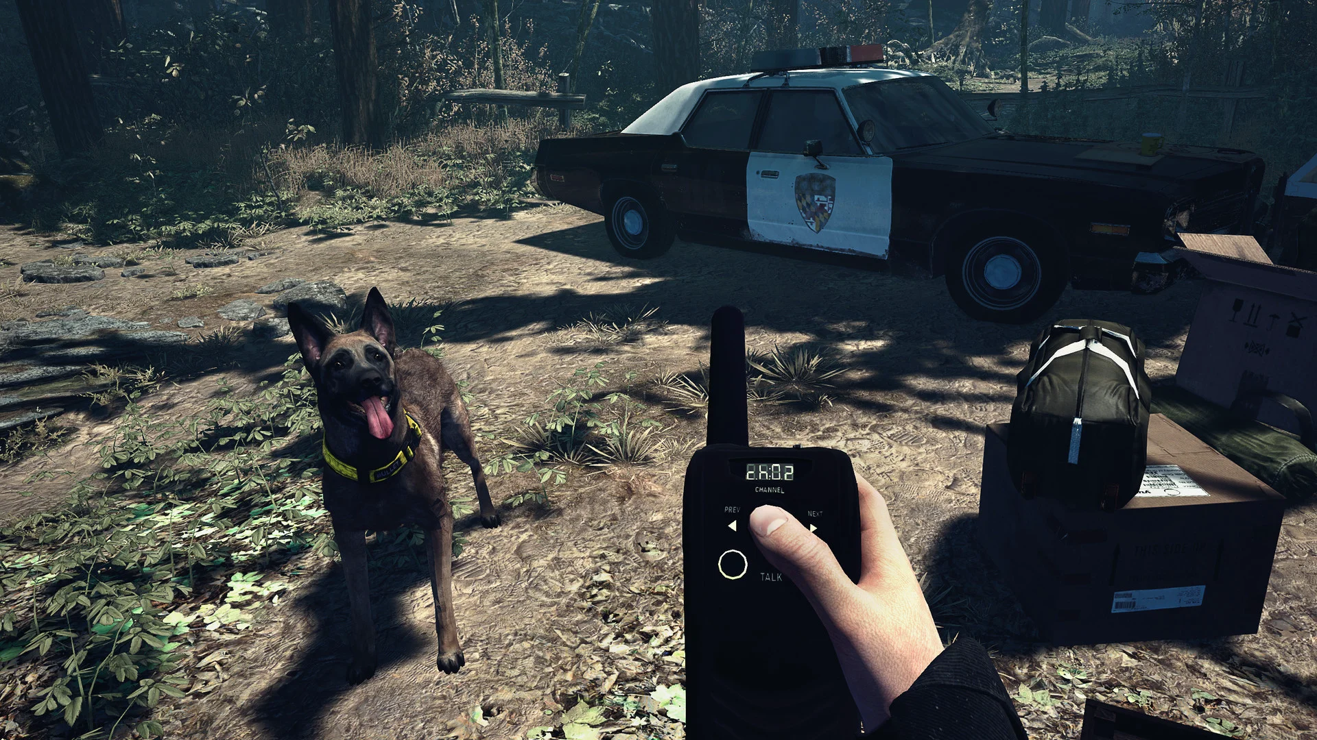 Blair Witch VR screenshot 7