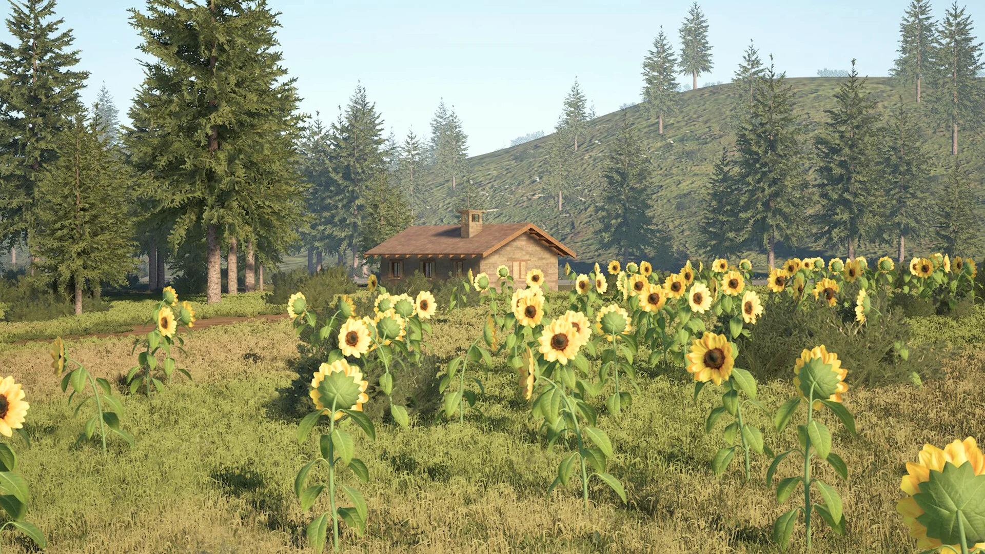 Caravanners screenshot 20