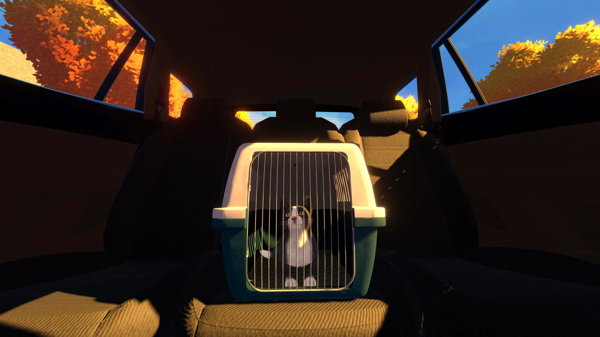 Copycat screenshot 12
