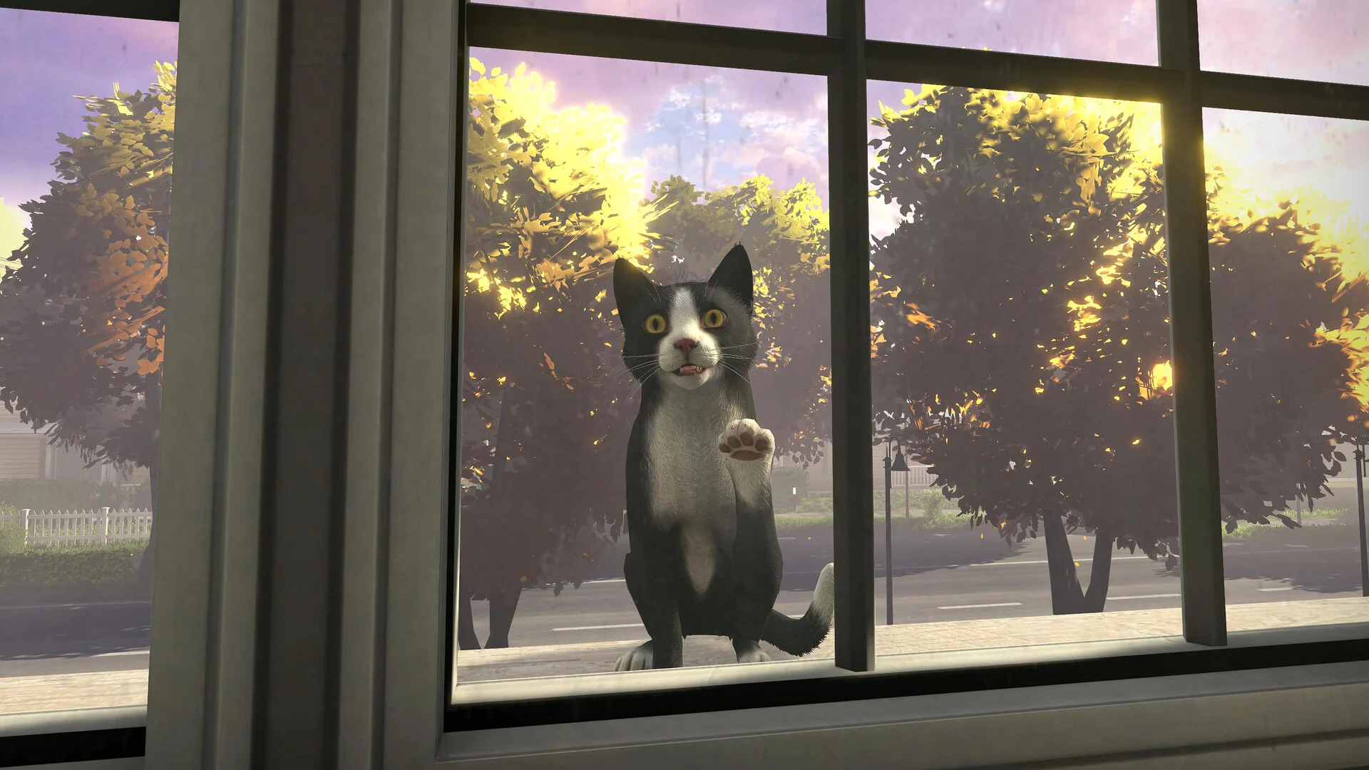 Copycat screenshot 4