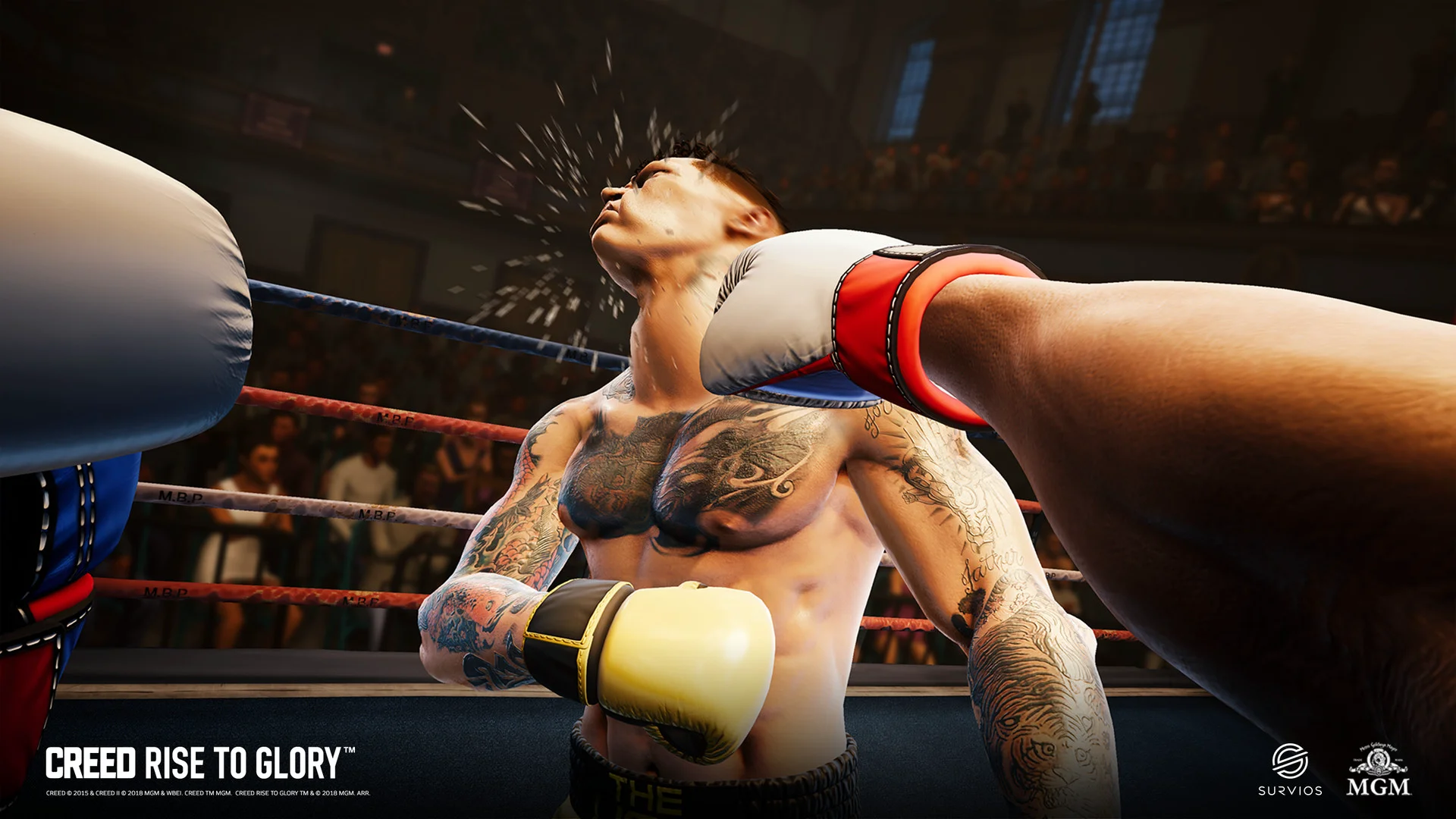 Creed: Rise to Glory™ screenshot 3