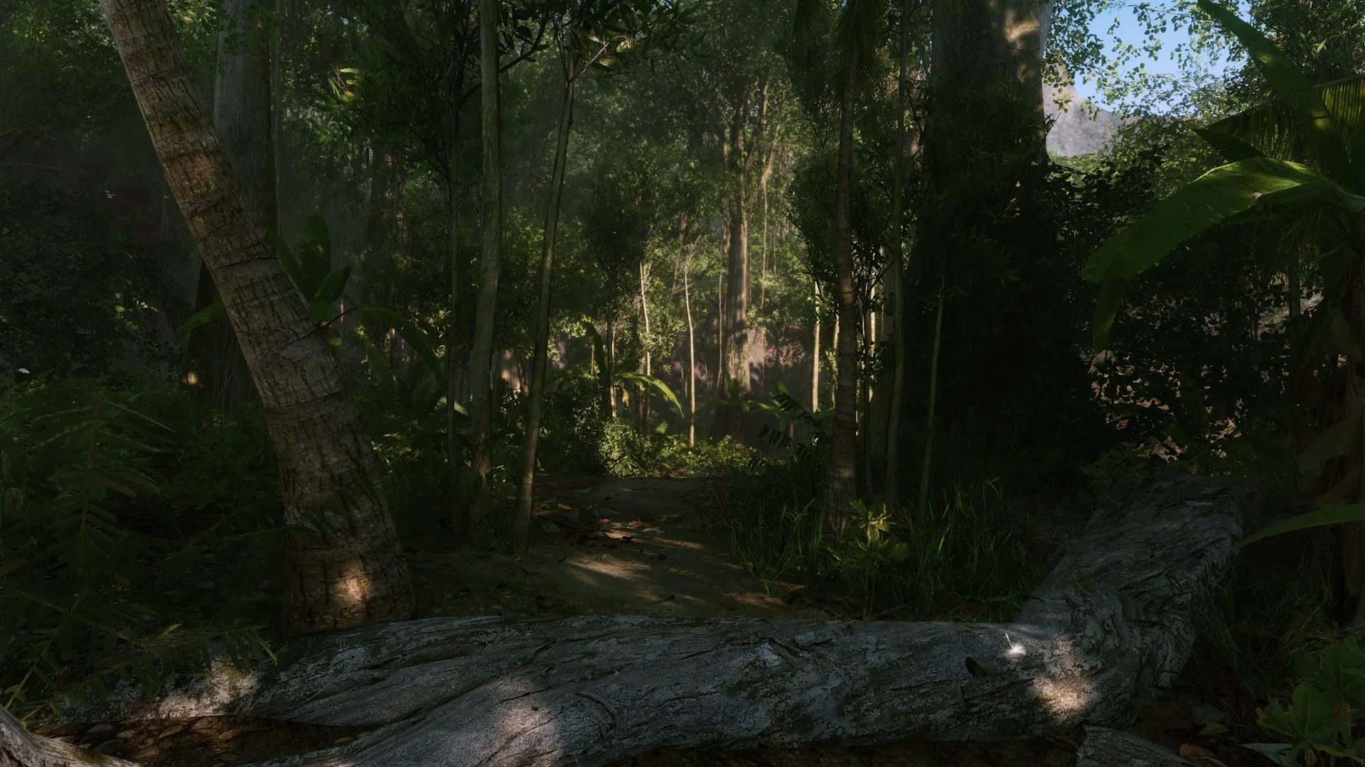 Crysis Remastered screenshot 4