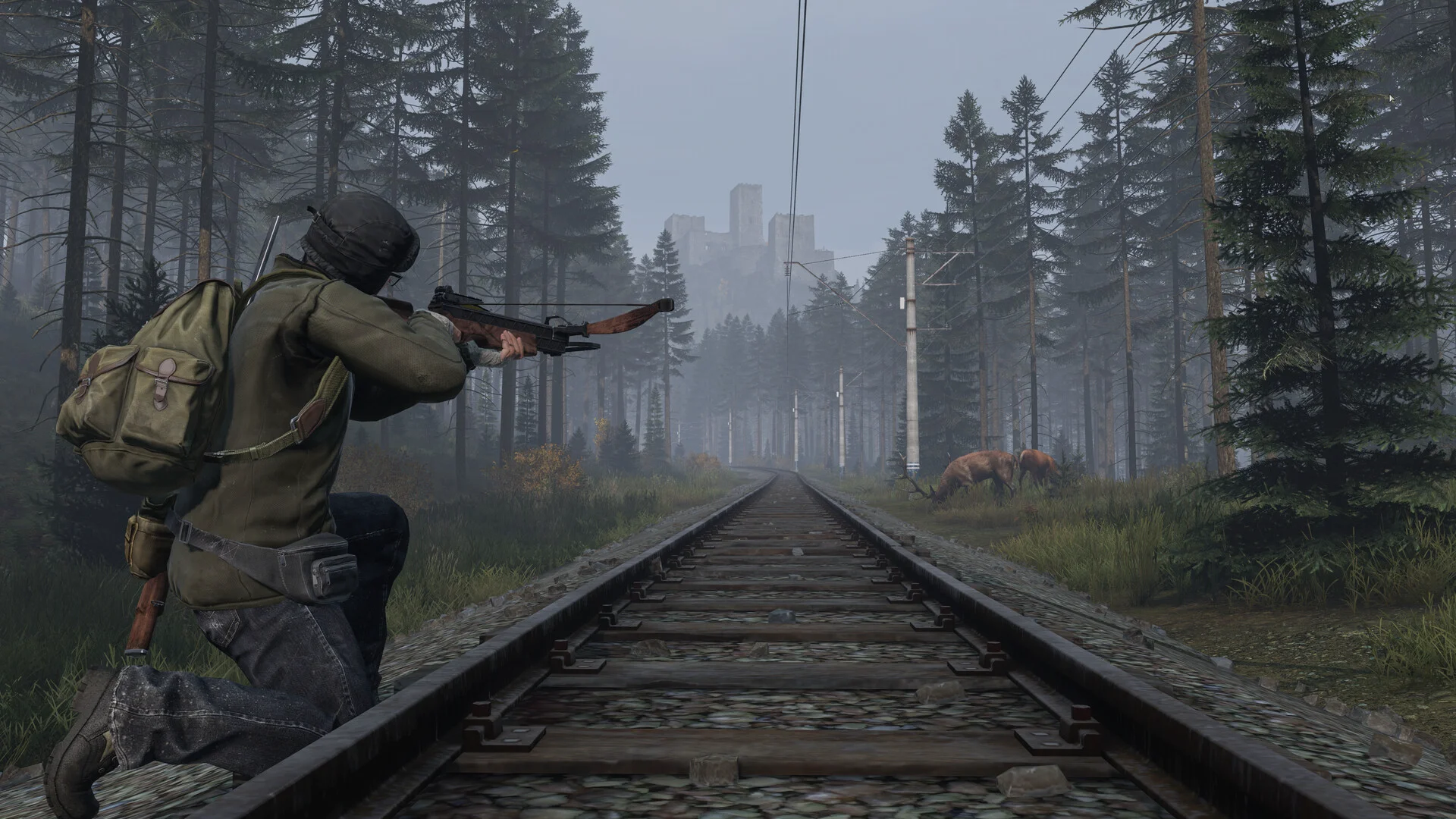 DayZ screenshot 17