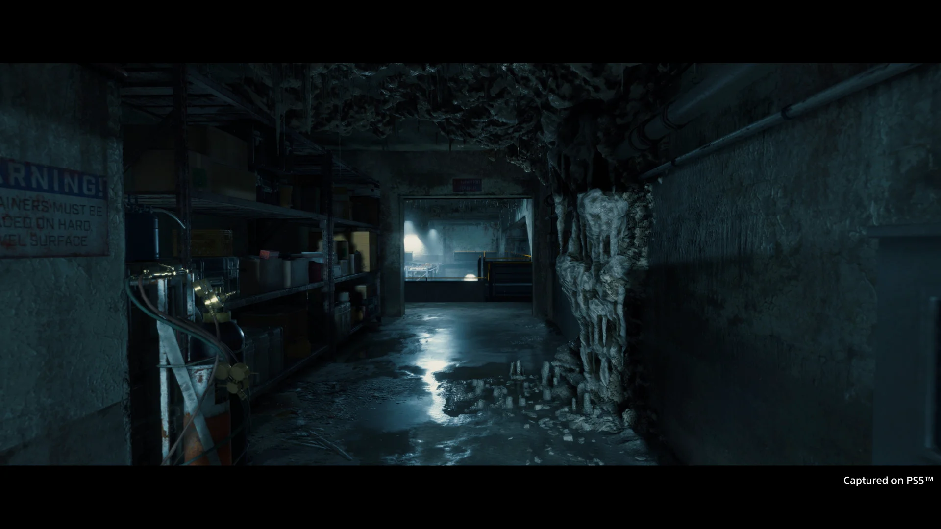 DEATH STRANDING DIRECTOR'S CUT screenshot 17