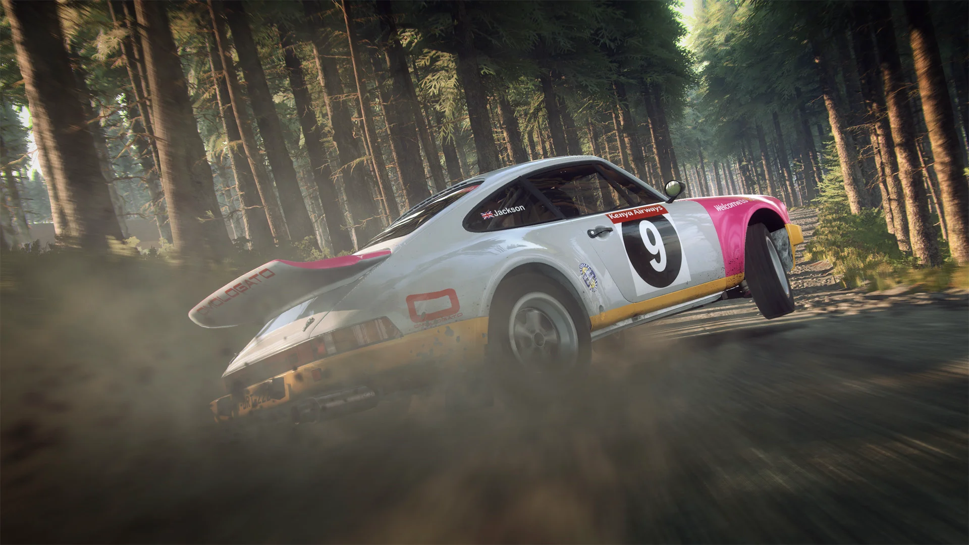DiRT Rally 2.0 screenshot 2
