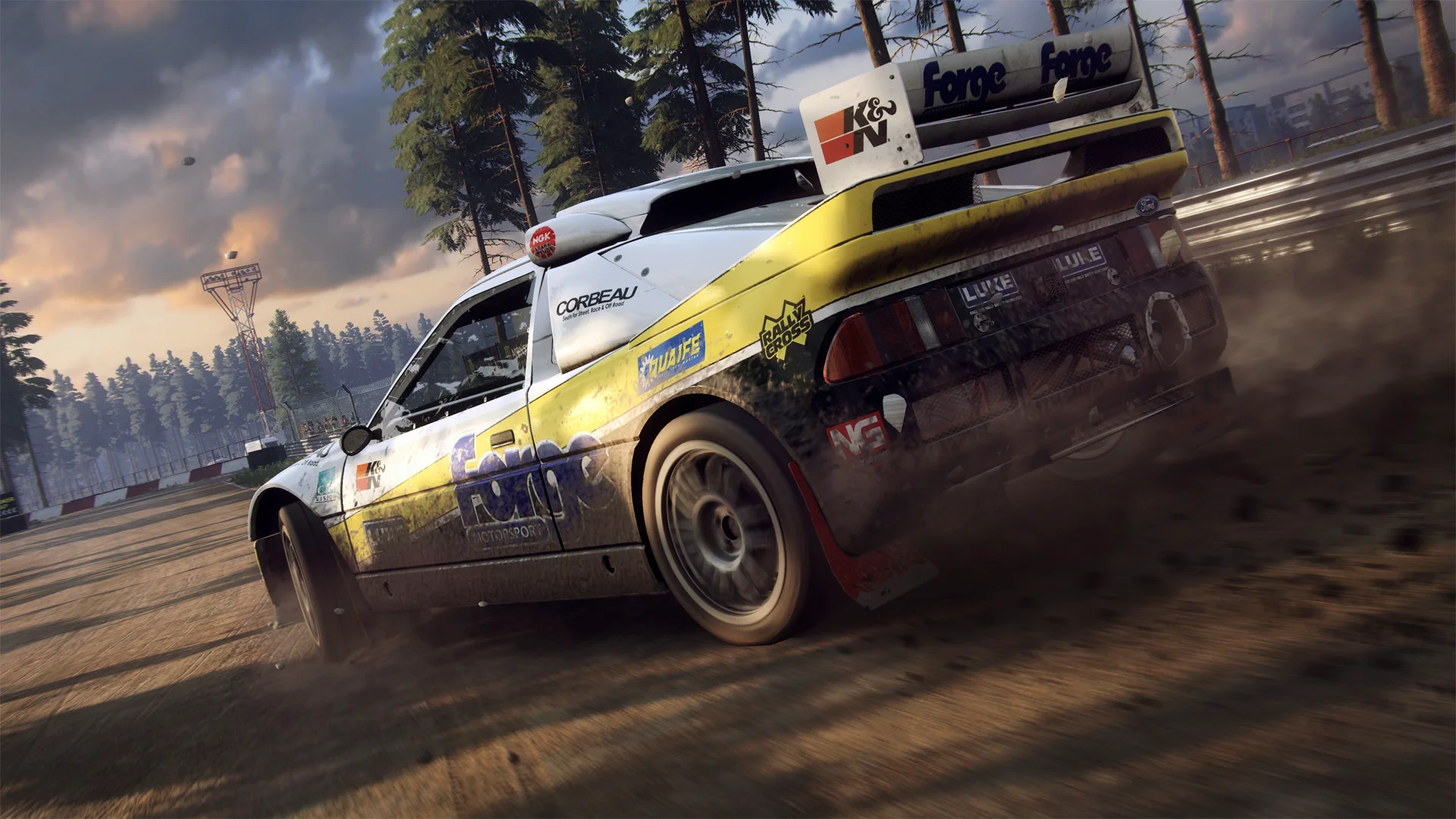 DiRT Rally 2.0 screenshot 5