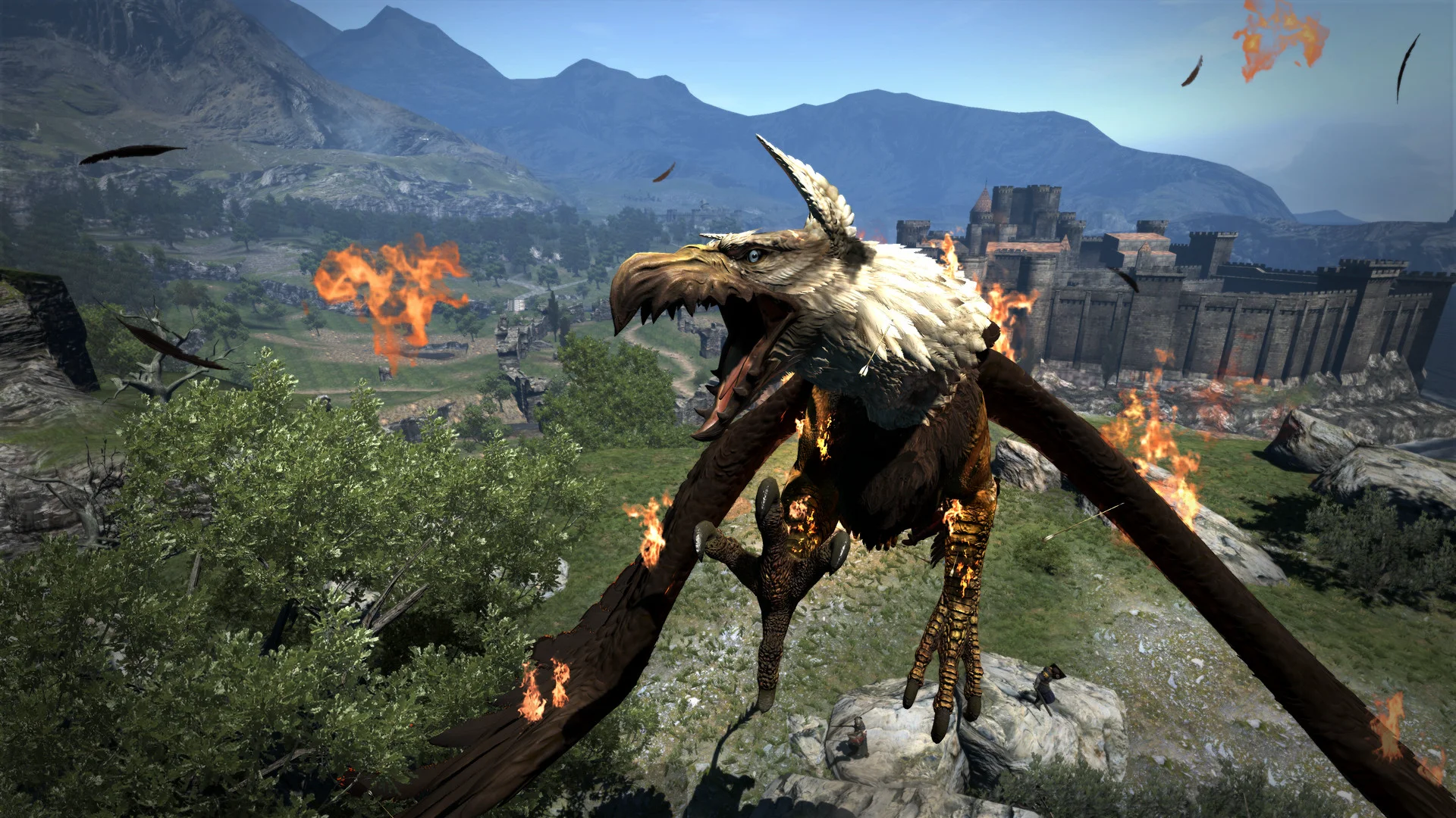 Dragon's Dogma: Dark Arisen screenshot 9