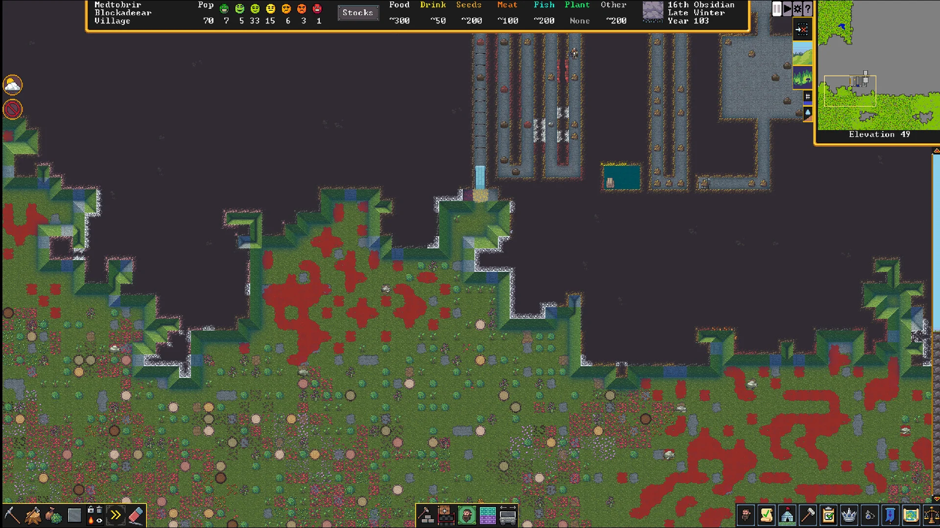 Dwarf Fortress screenshot 6