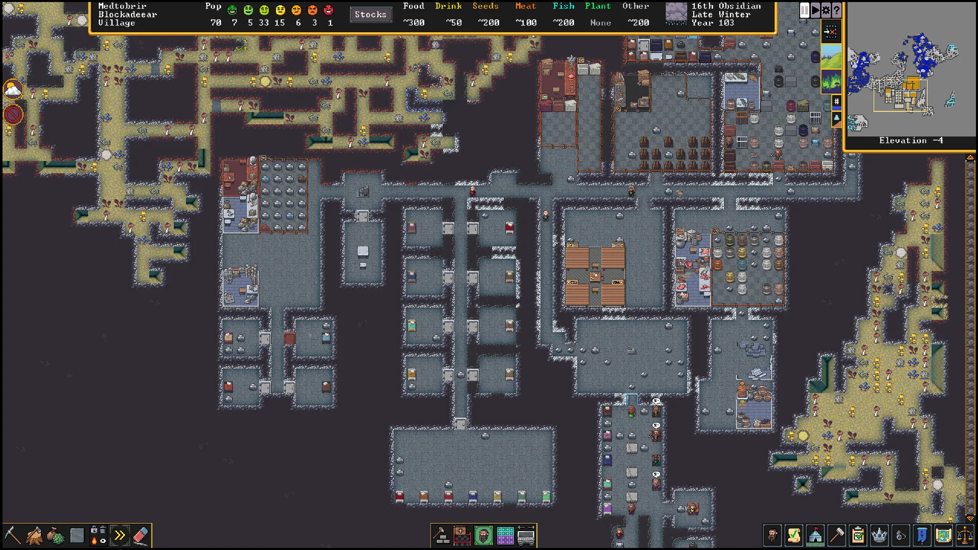 Dwarf Fortress screenshot 8