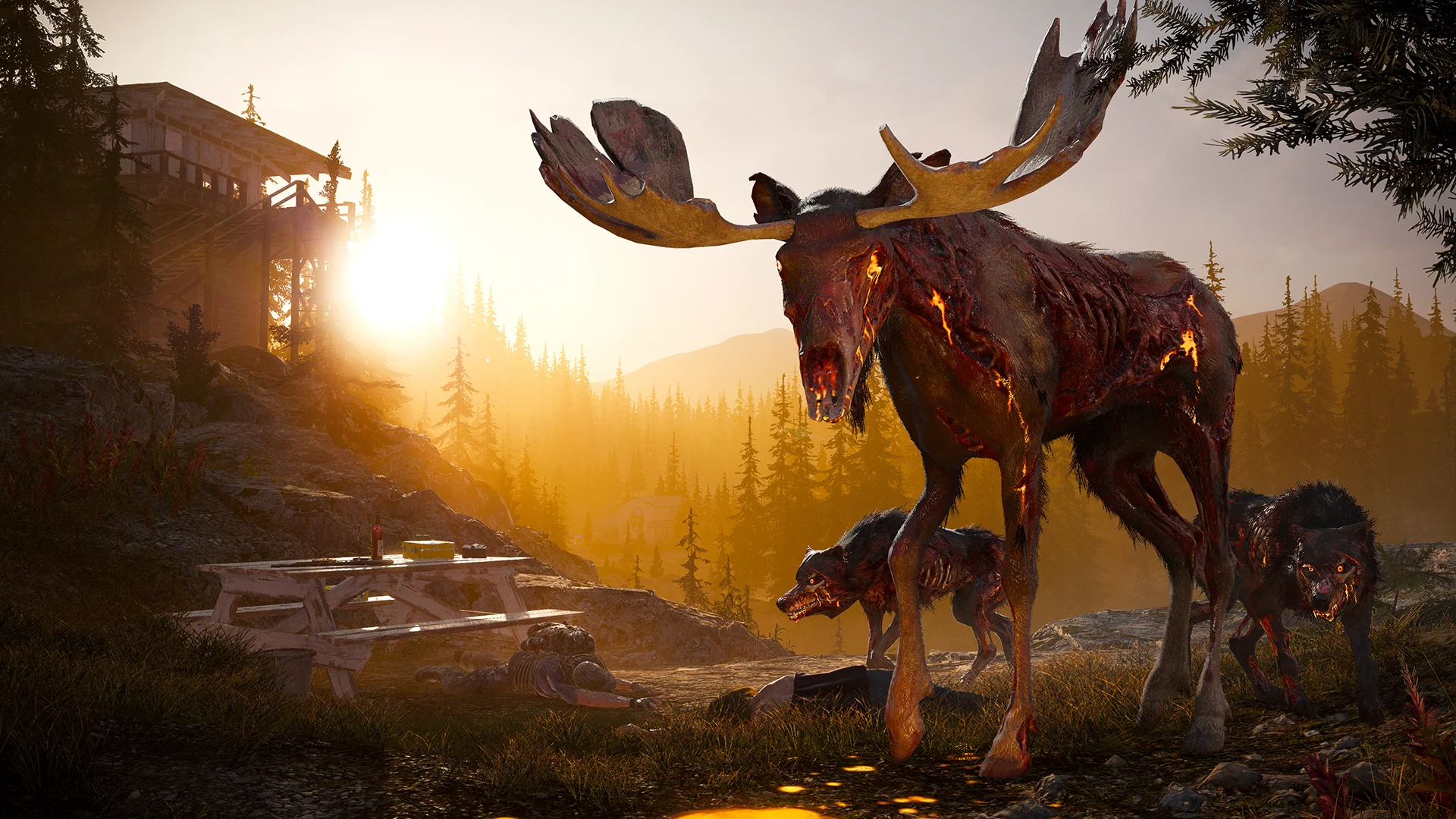 Far Cry® 5 screenshot 16