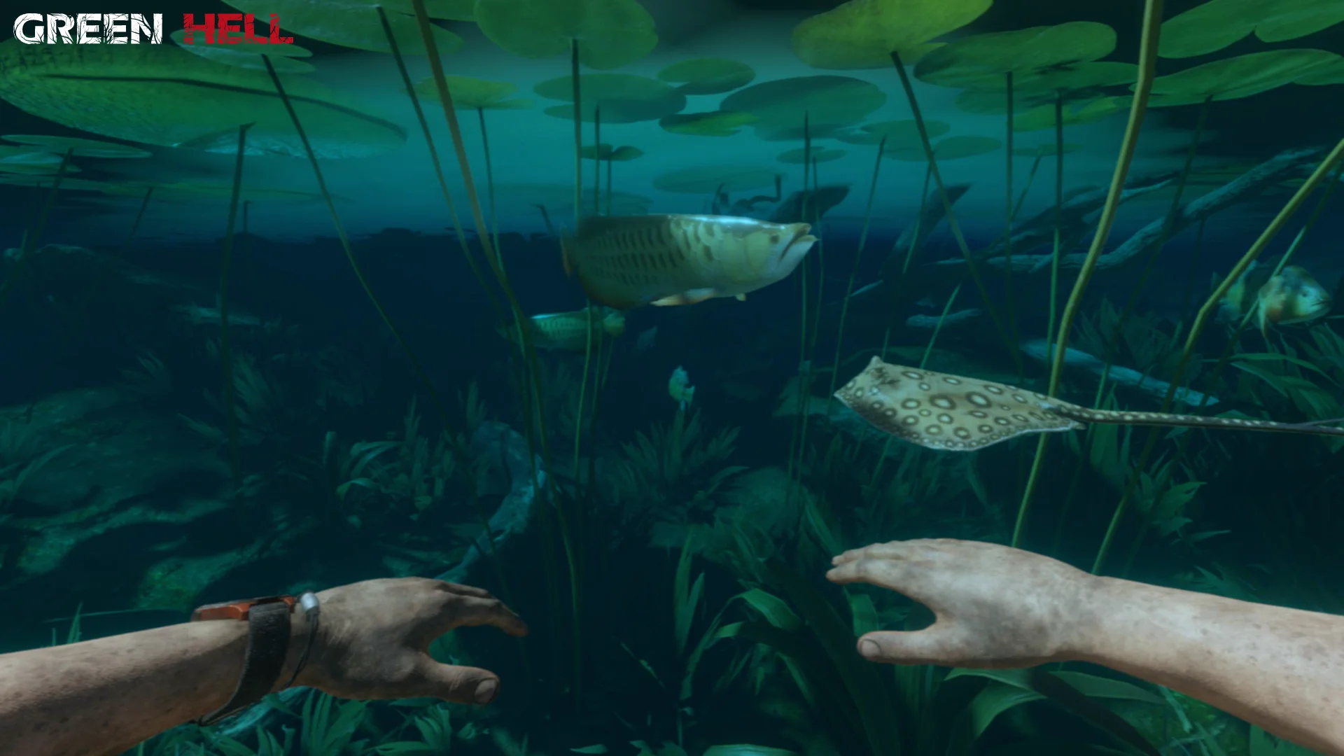 Green Hell screenshot 18