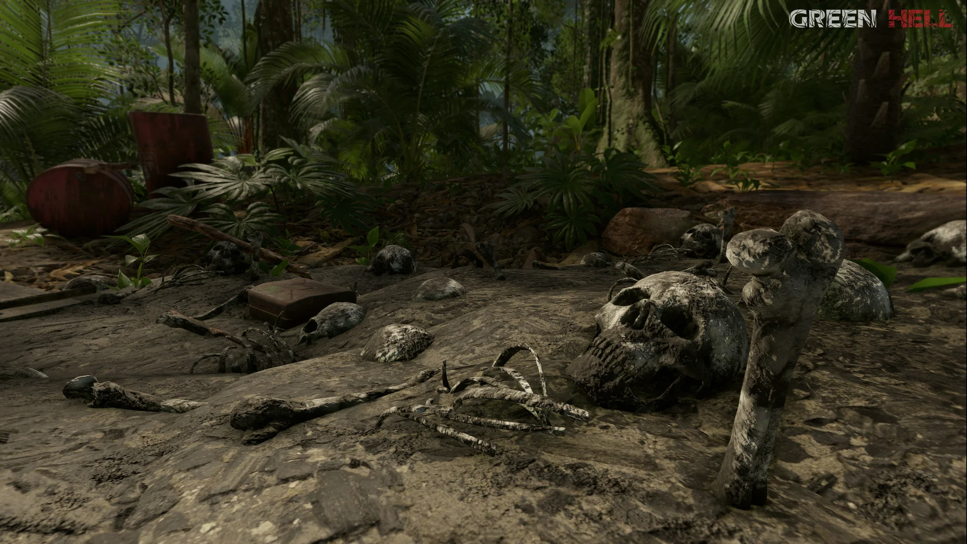 Green Hell screenshot 27