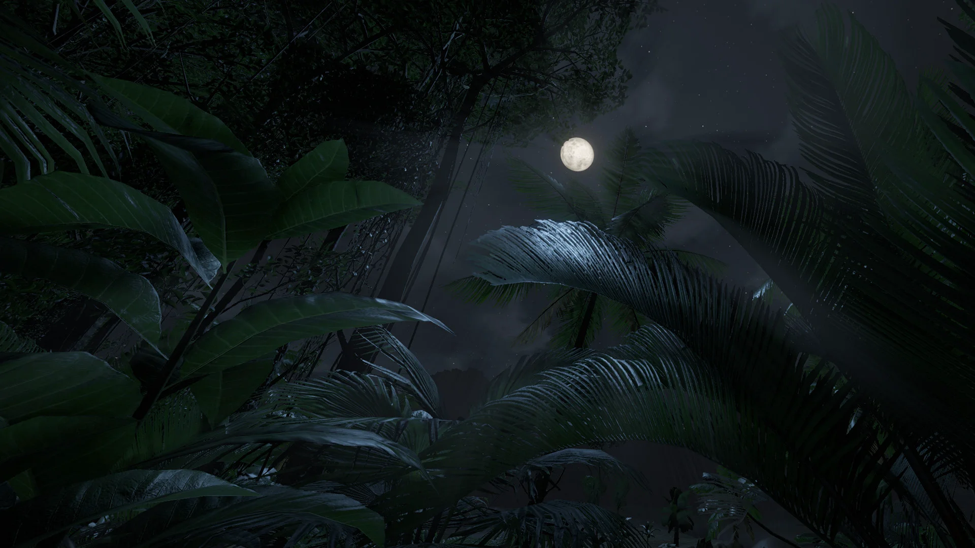 Green Hell VR screenshot 6