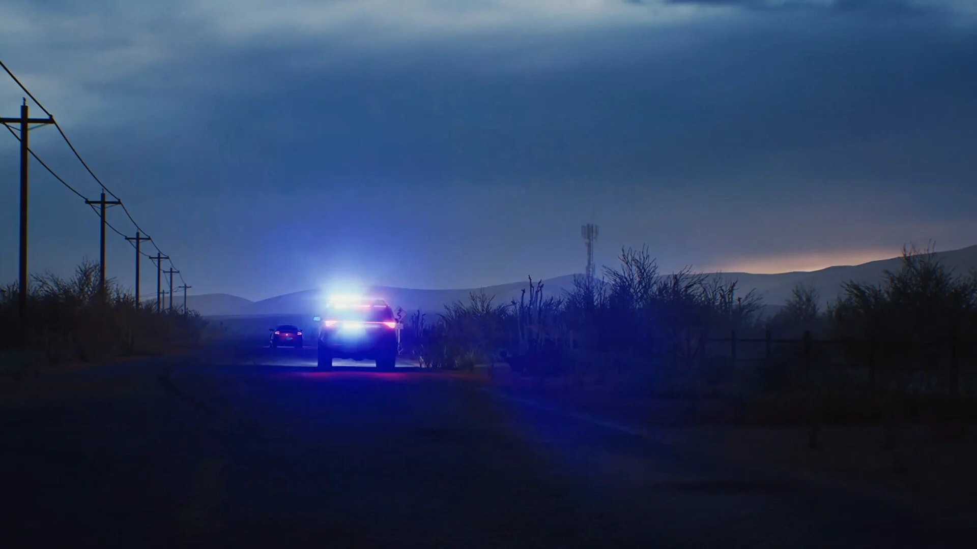 Highway Police Simulator screenshot 13