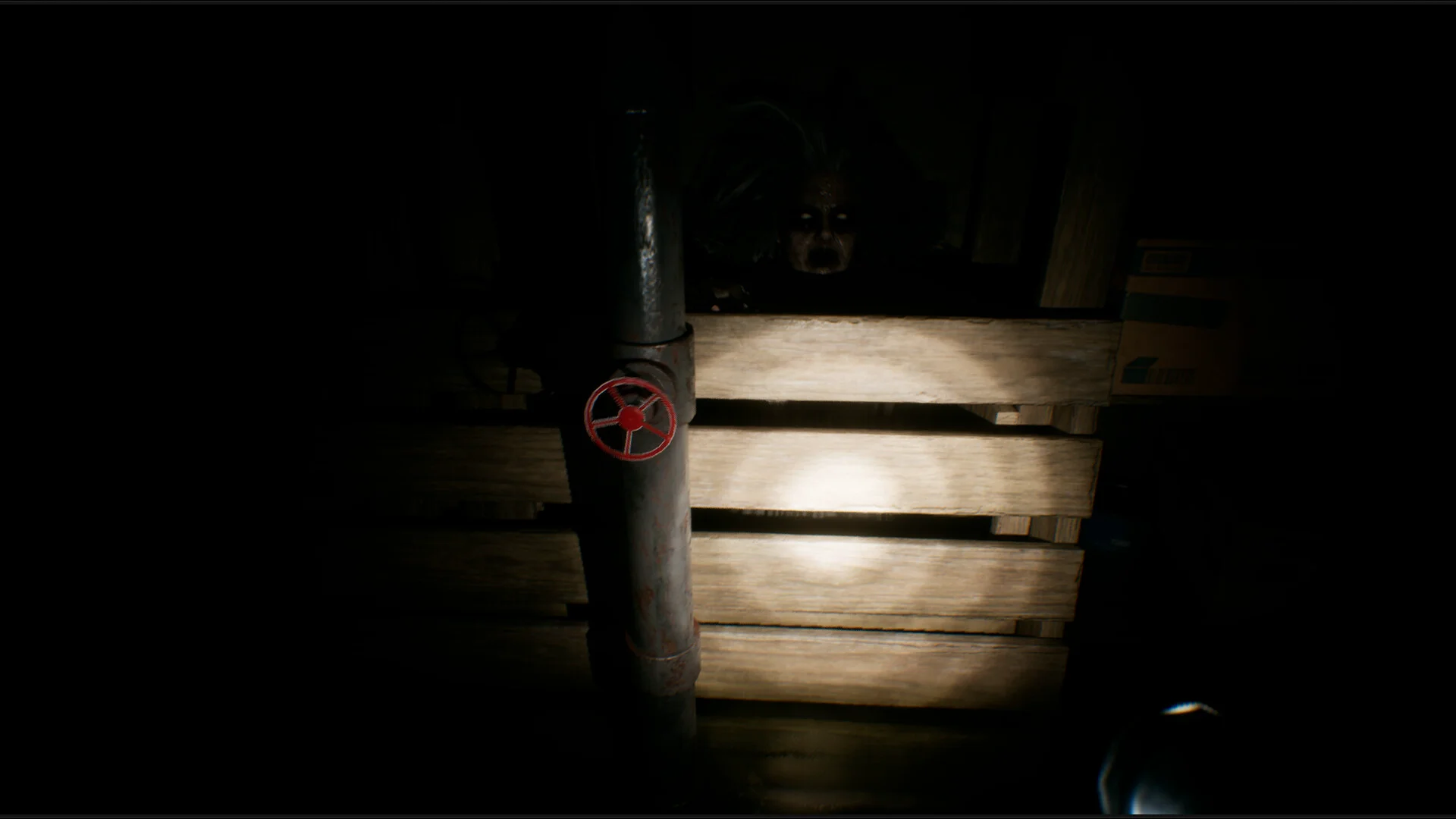 House of Lost Souls screenshot 8