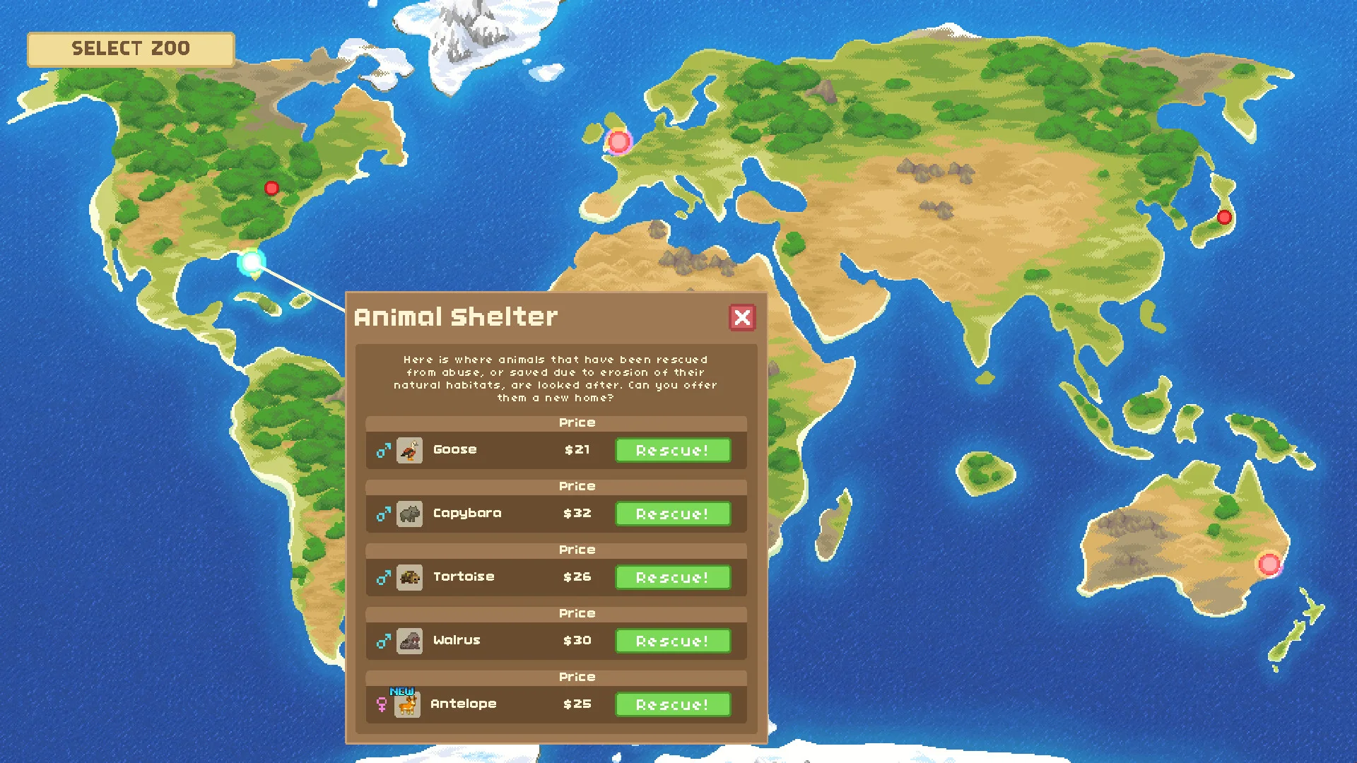 Let's Build a Zoo screenshot 6