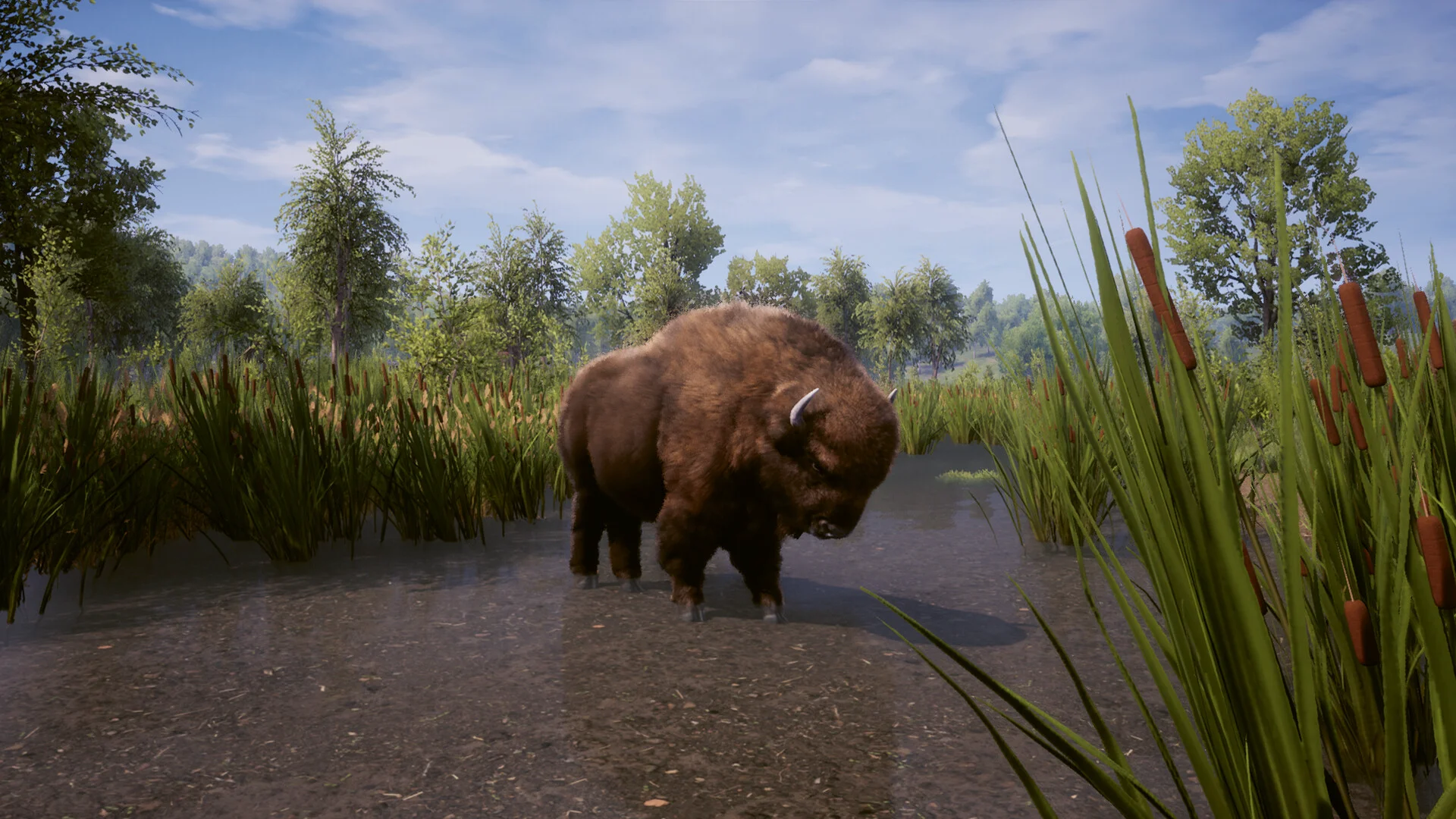 Medieval Dynasty screenshot 15