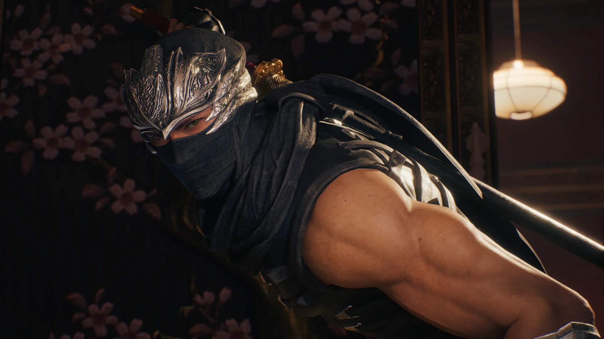 NINJA GAIDEN 2 Black screenshot 4