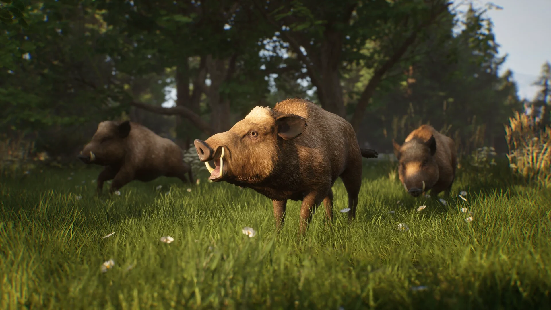 Noble Legacy screenshot 5