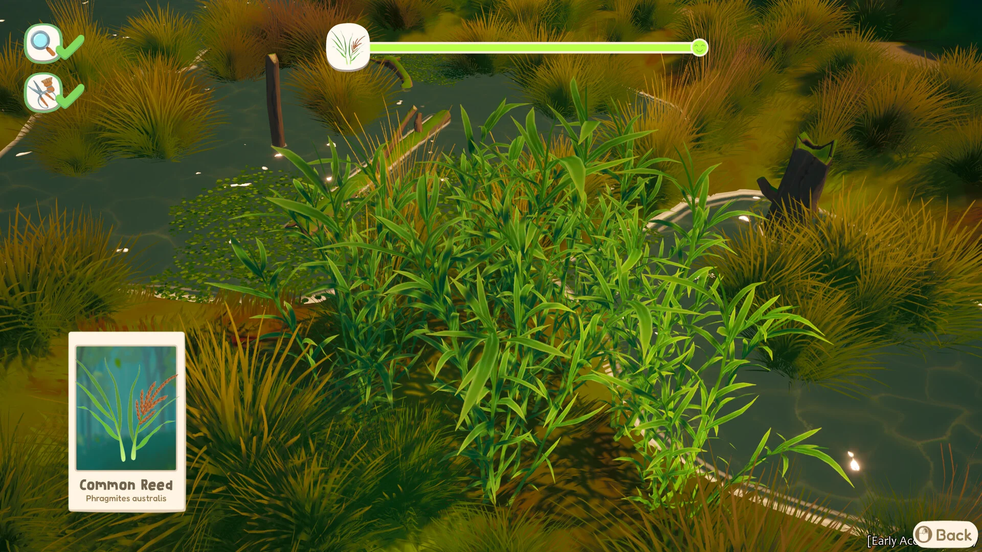 Out and About screenshot 10