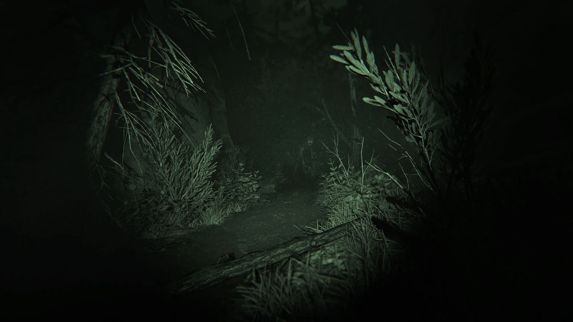 Outlast 2 screenshot 19