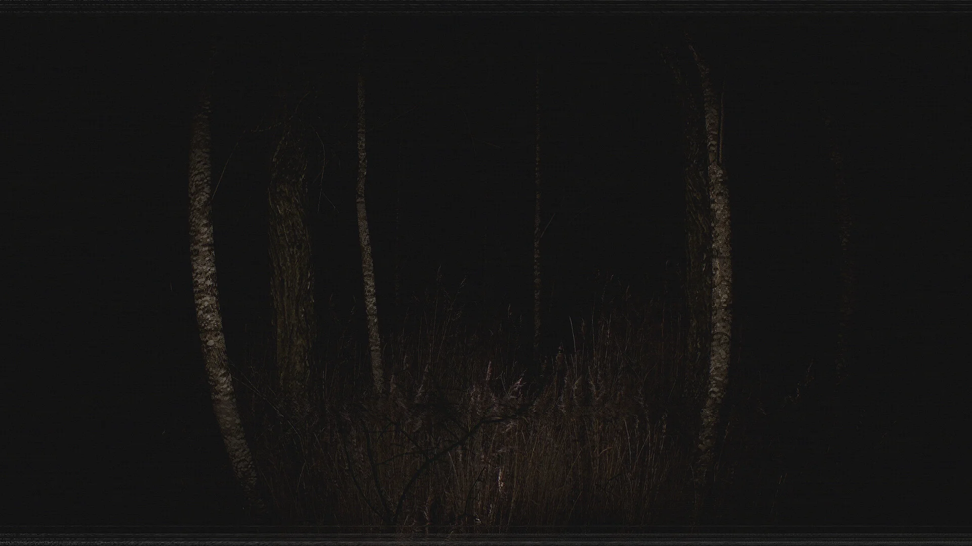 Paranormal VHS screenshot 1