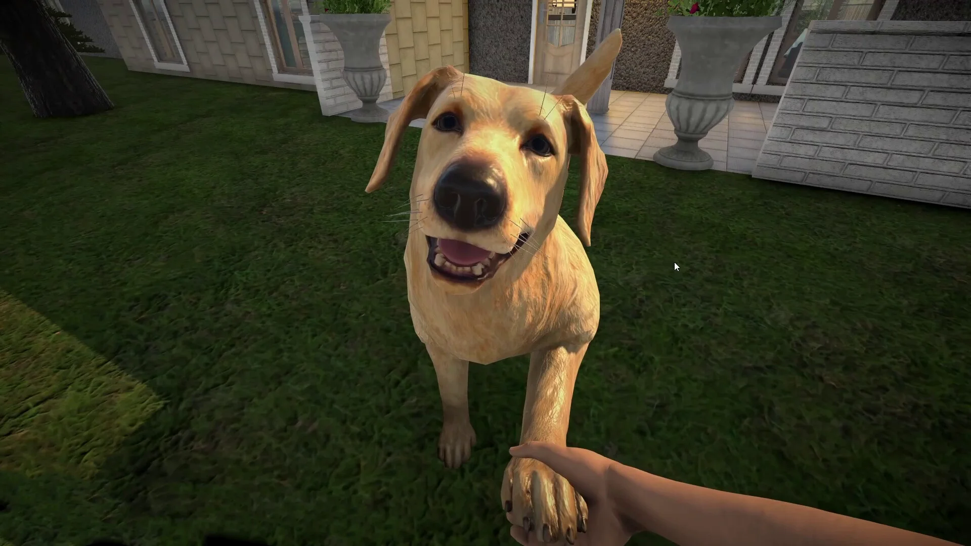 Pets Hotel screenshot 1