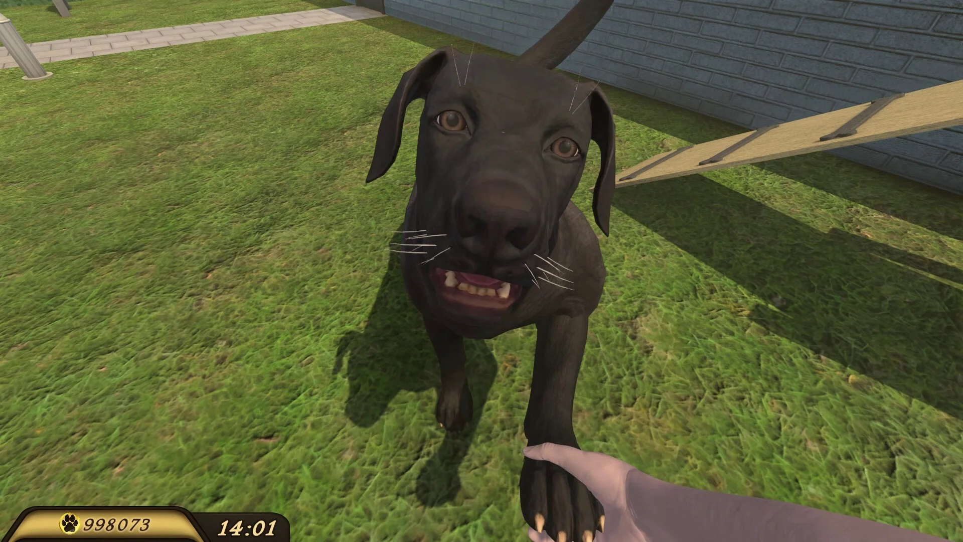 Pets Hotel screenshot 21