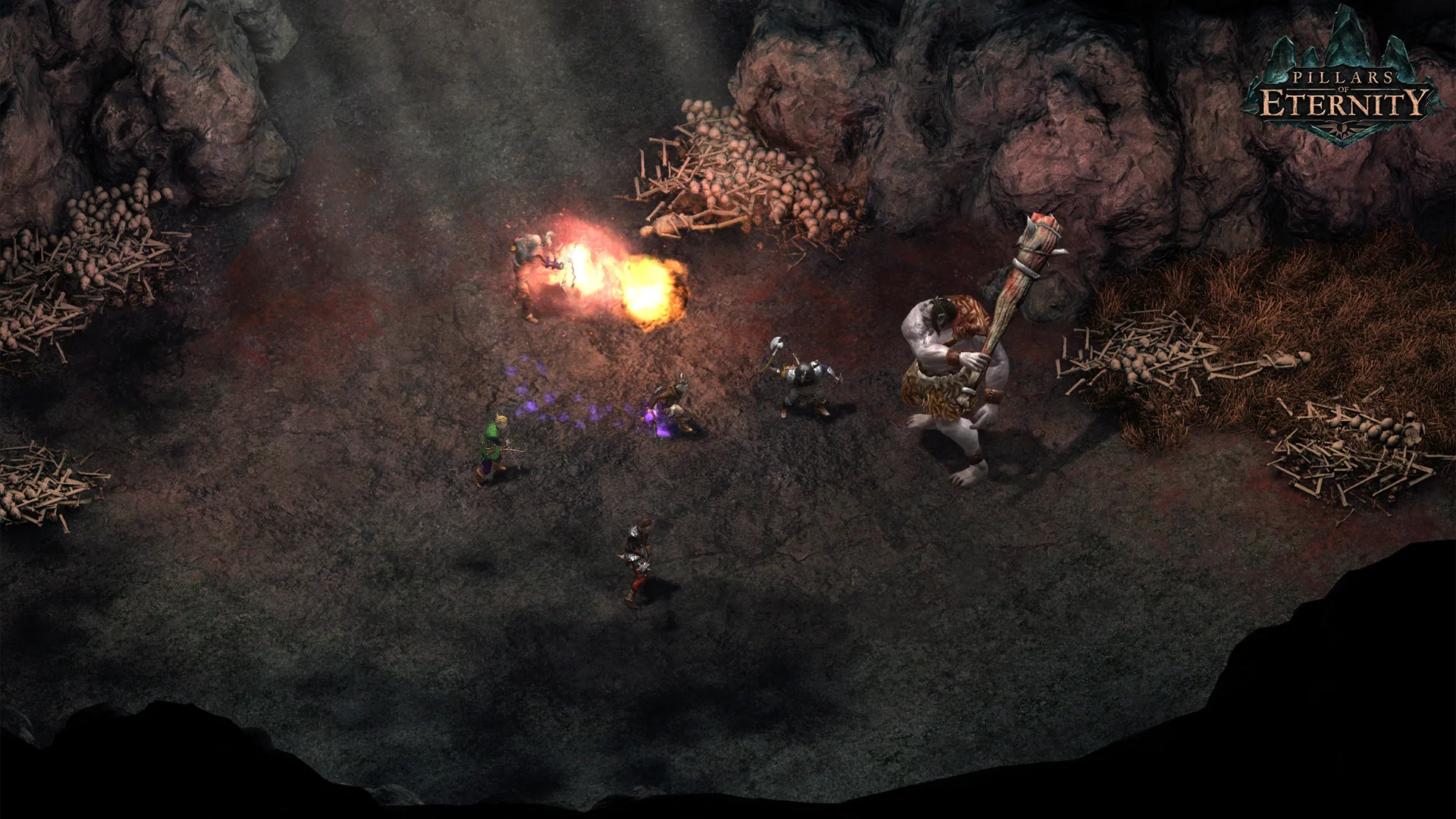 Pillars of Eternity screenshot 6
