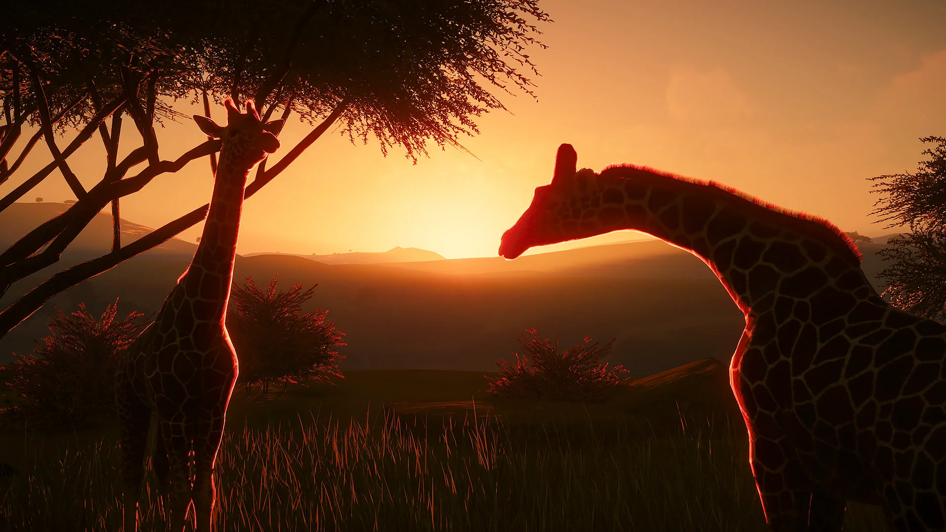 Planet Zoo screenshot 21