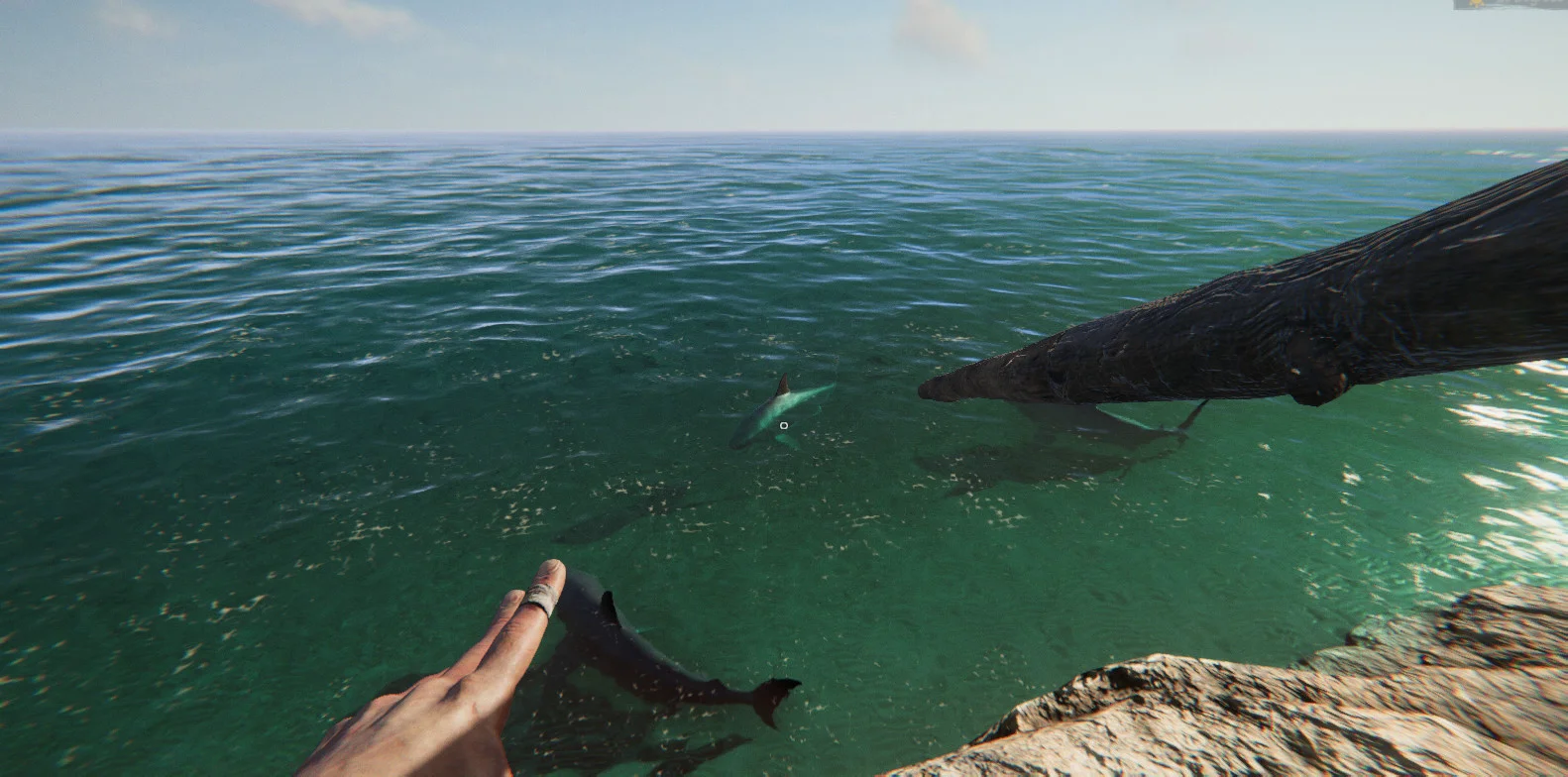 Project Castaway screenshot 7