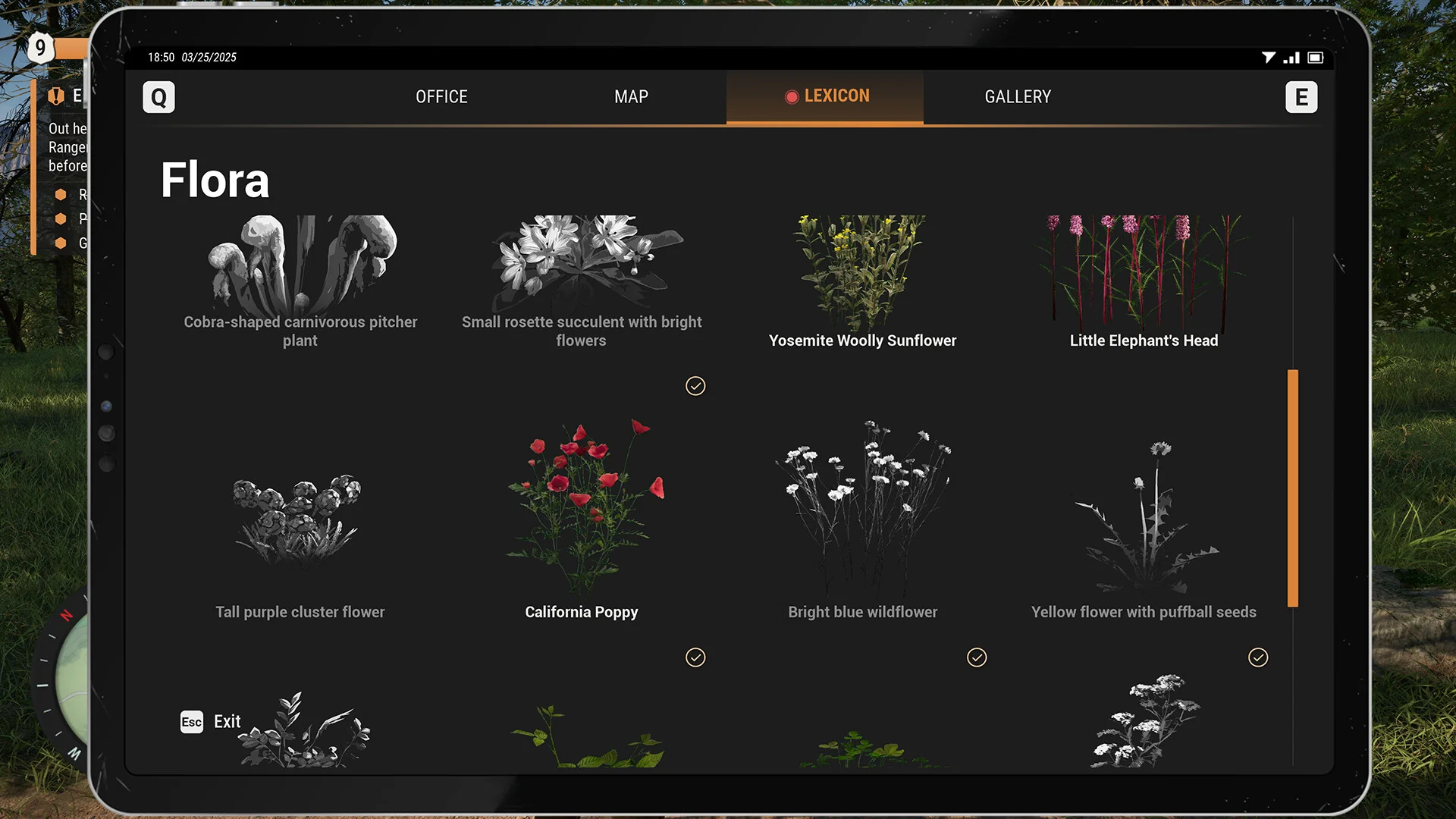 Ranger’s Path: National Park Simulator screenshot 10