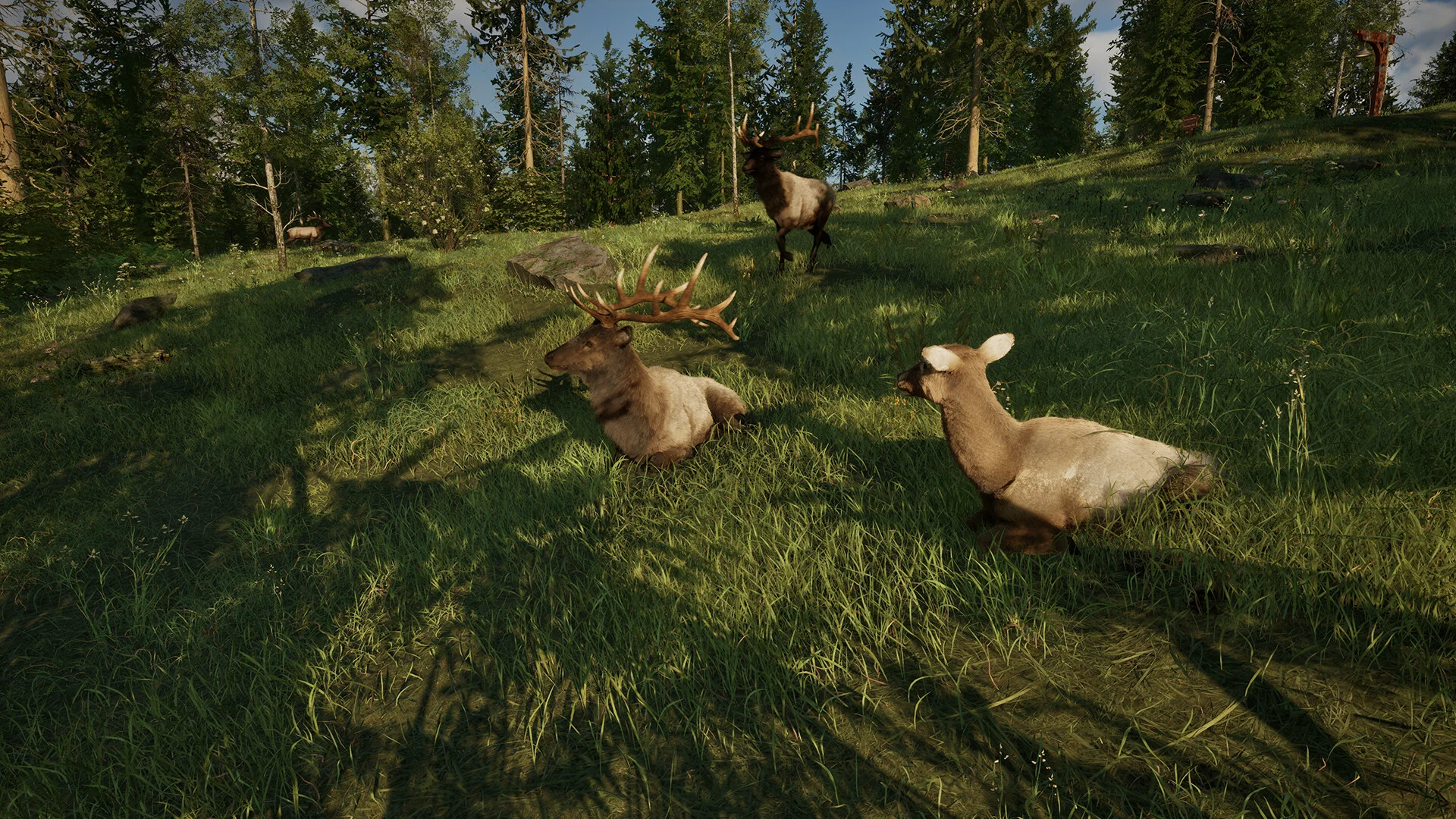 Ranger’s Path: National Park Simulator screenshot 6