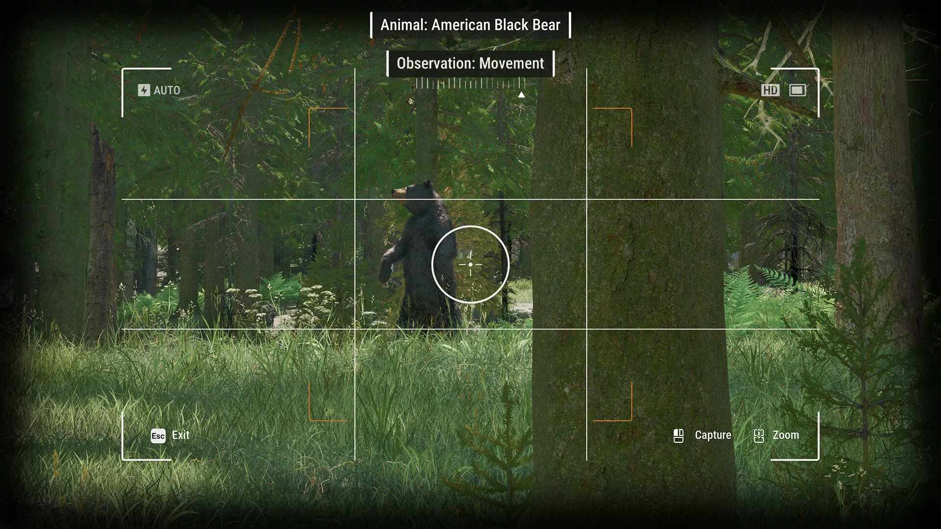 Ranger’s Path: National Park Simulator screenshot 9